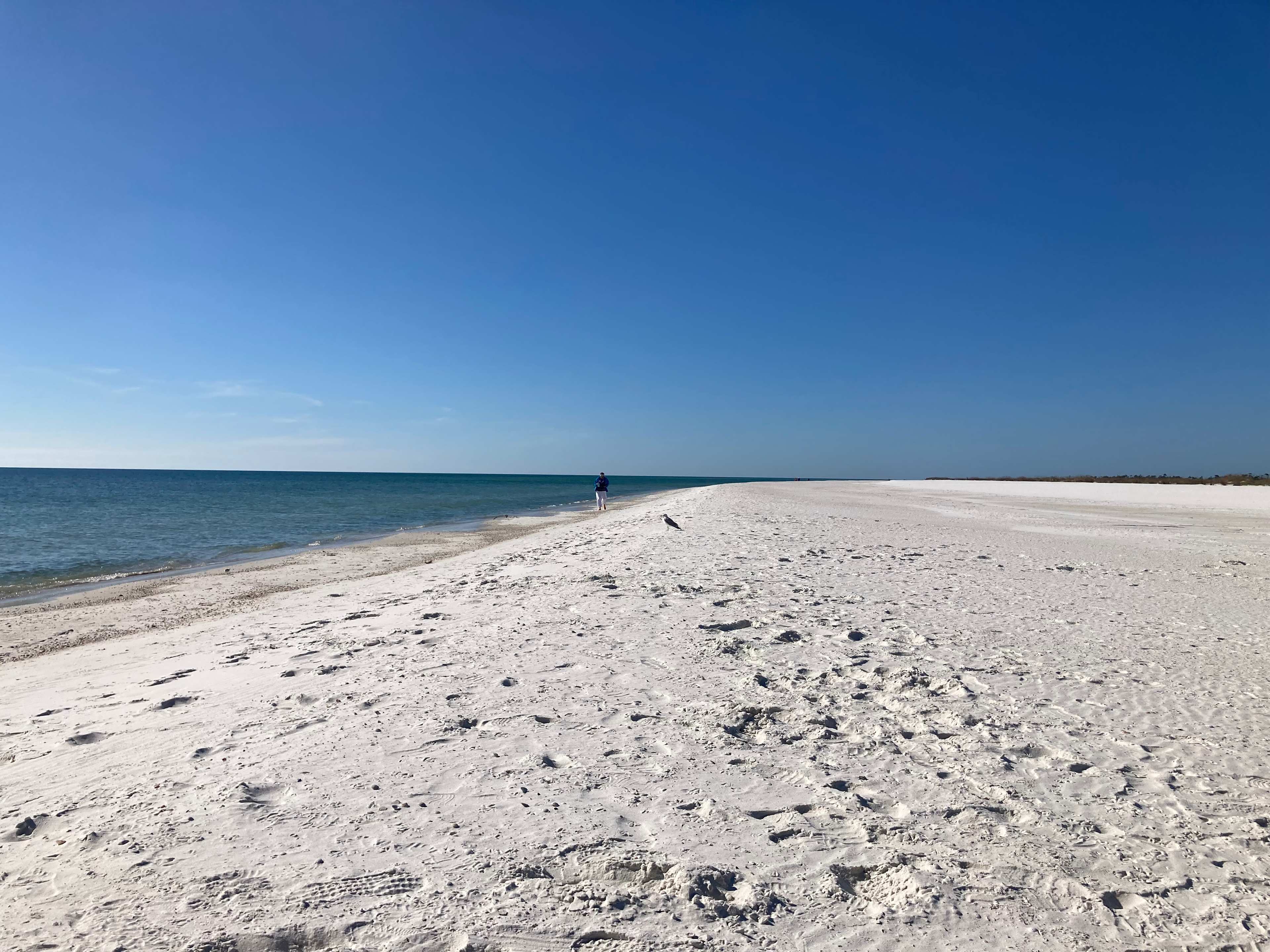 Panhandle Paradise