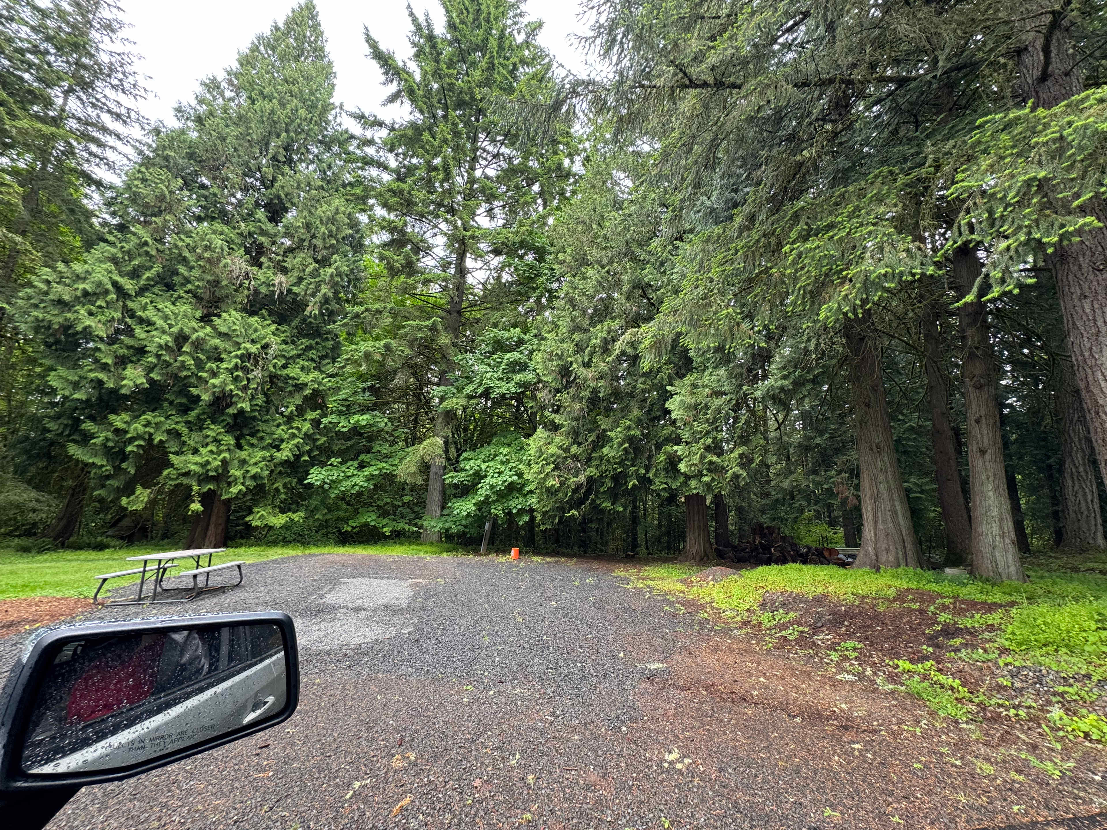 After a relaxing night in the rain.