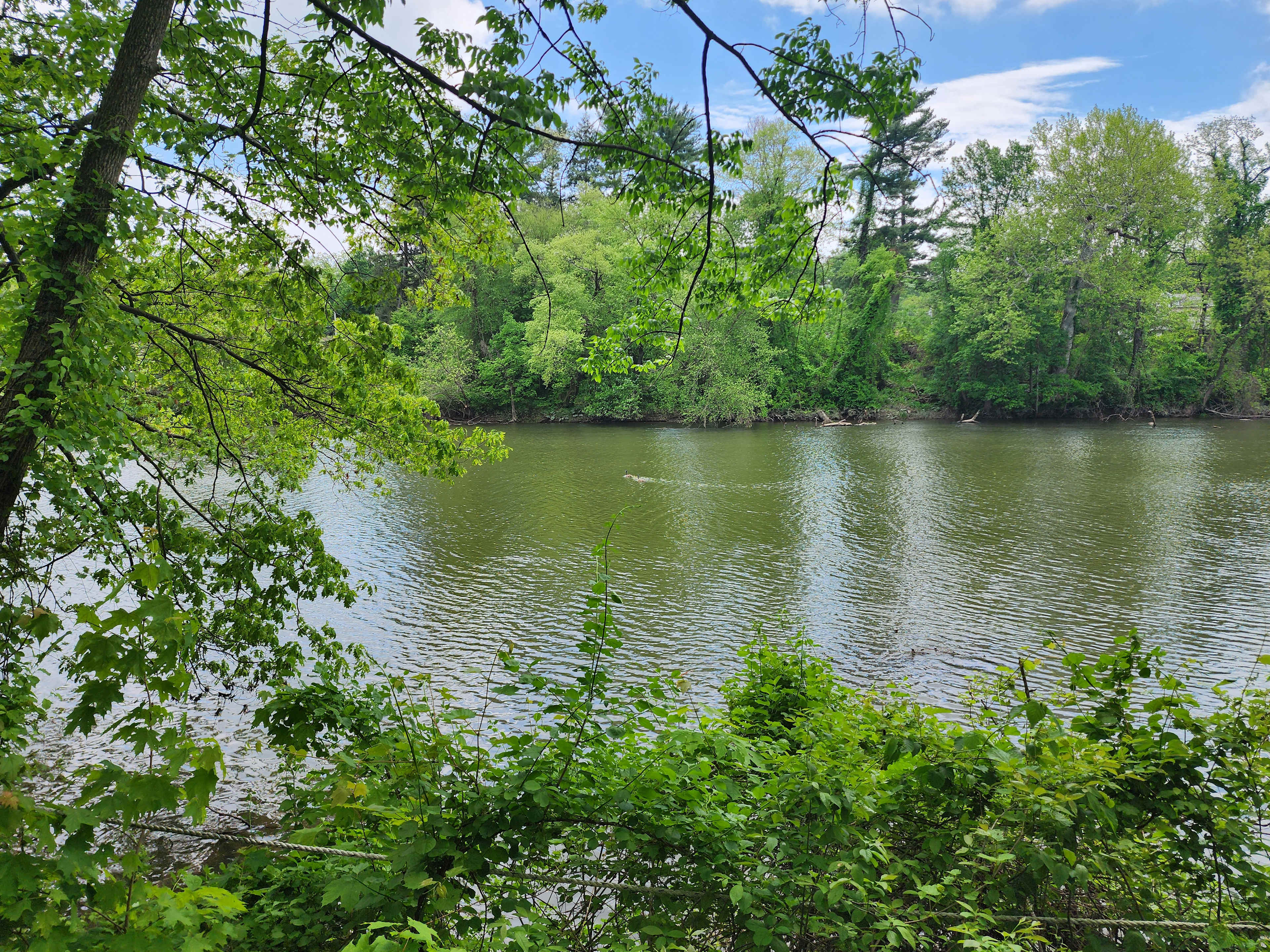 Private Waterfront Camping Oasis