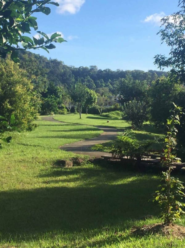 Eco Village beach and forest