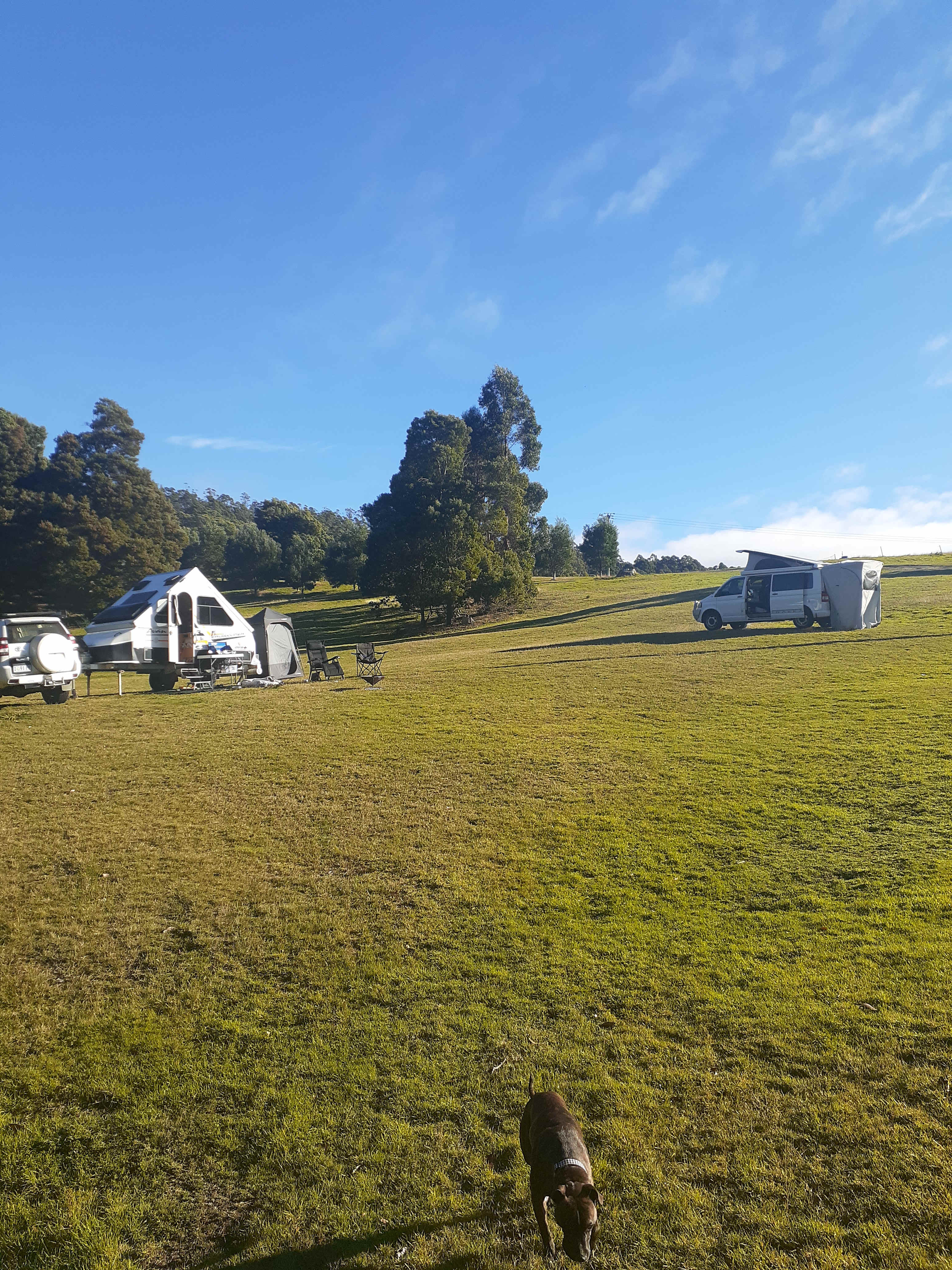 Semaphore Farm