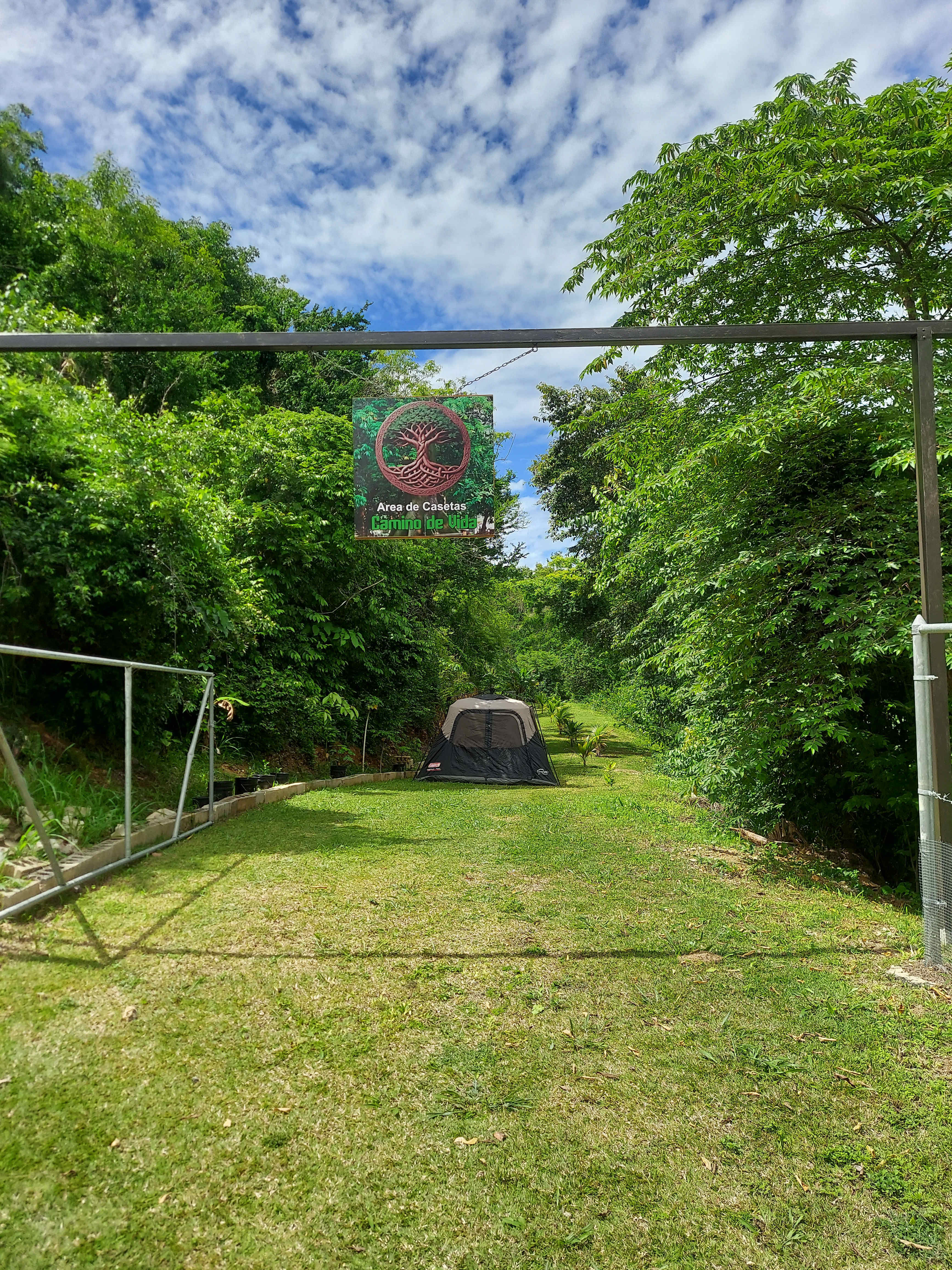 Picture of the site