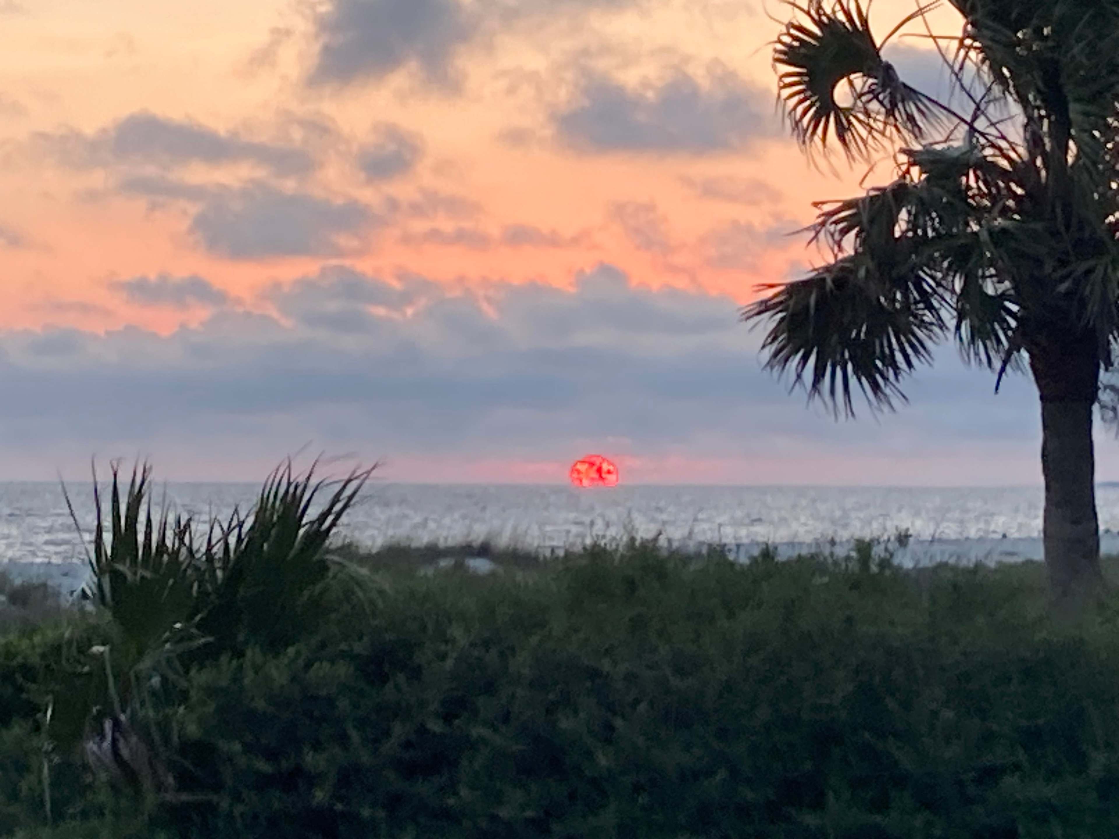 Panhandle Paradise