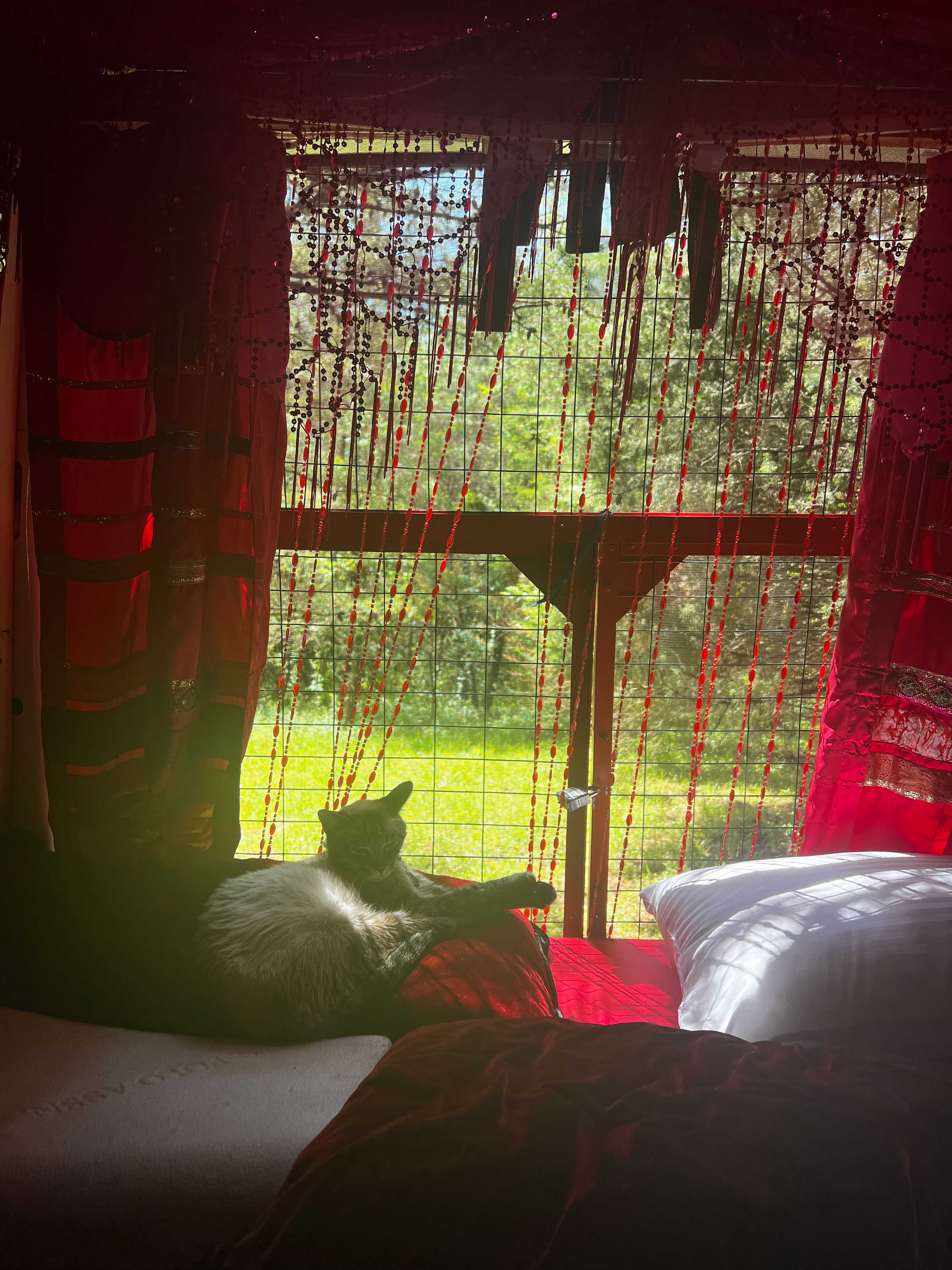 Hammock’Sway Private Off Grid Camp