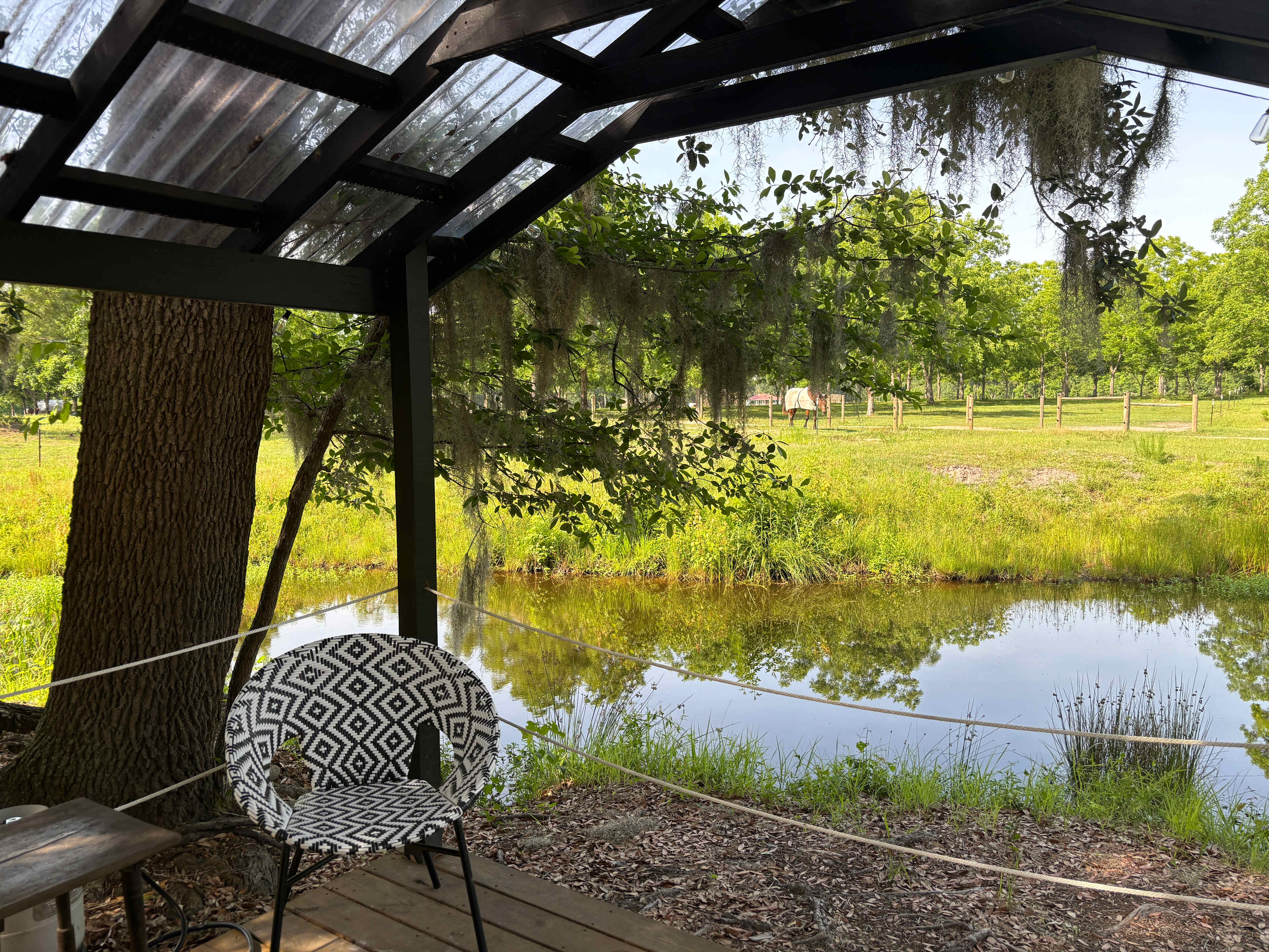 Shire Hill Grove, Yemassee, SC