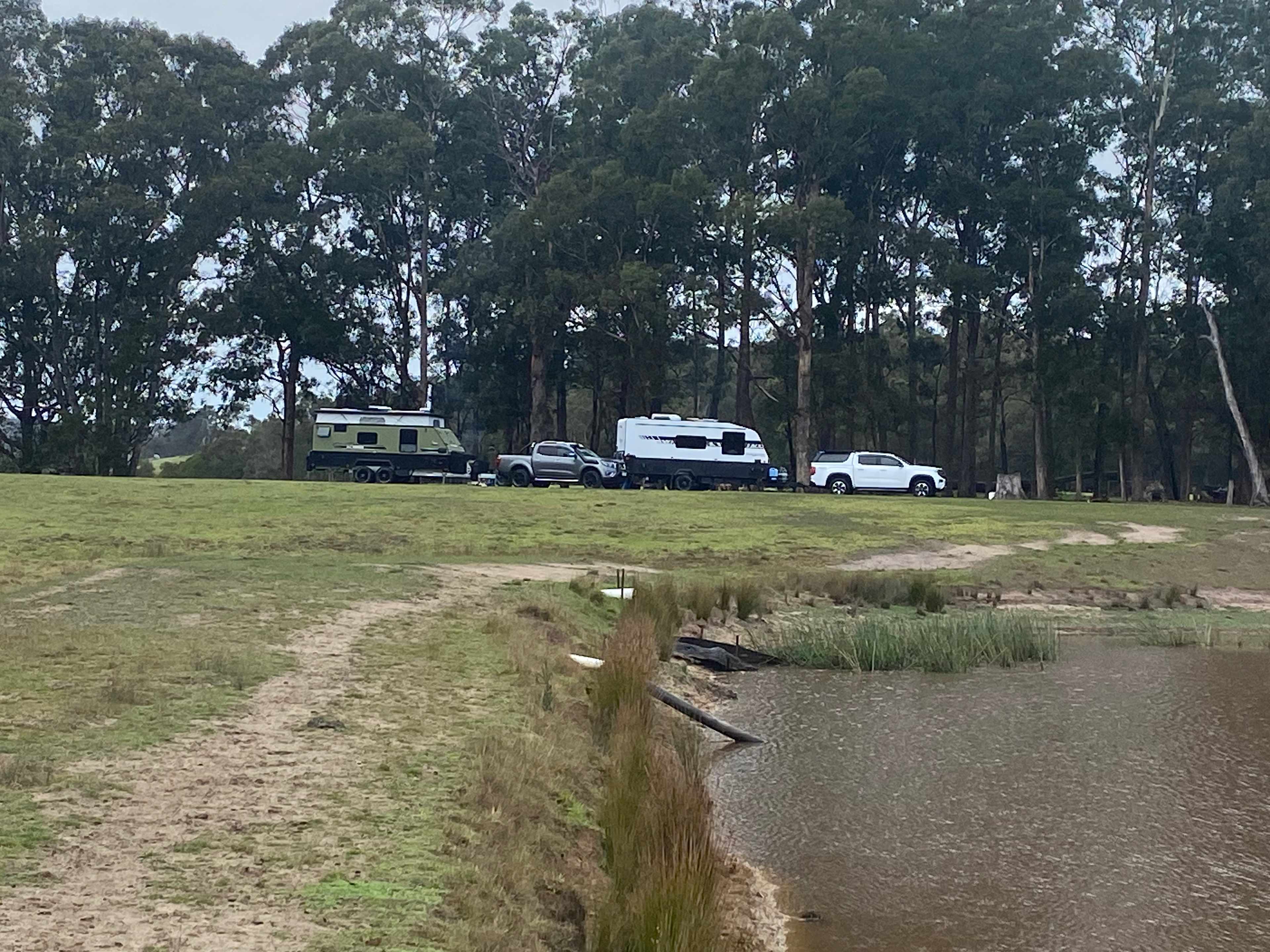 Bruthen Creek Pastoral Farmstay