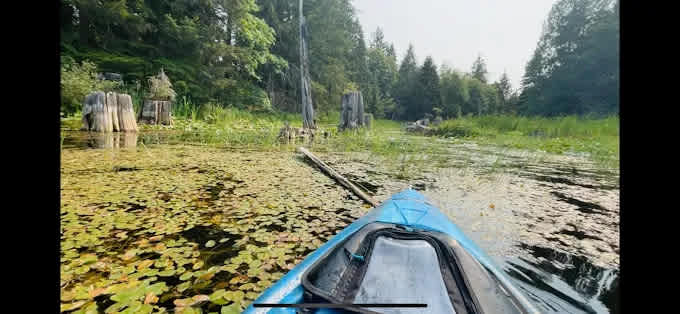 Buck Lake Campground (Private Campground)