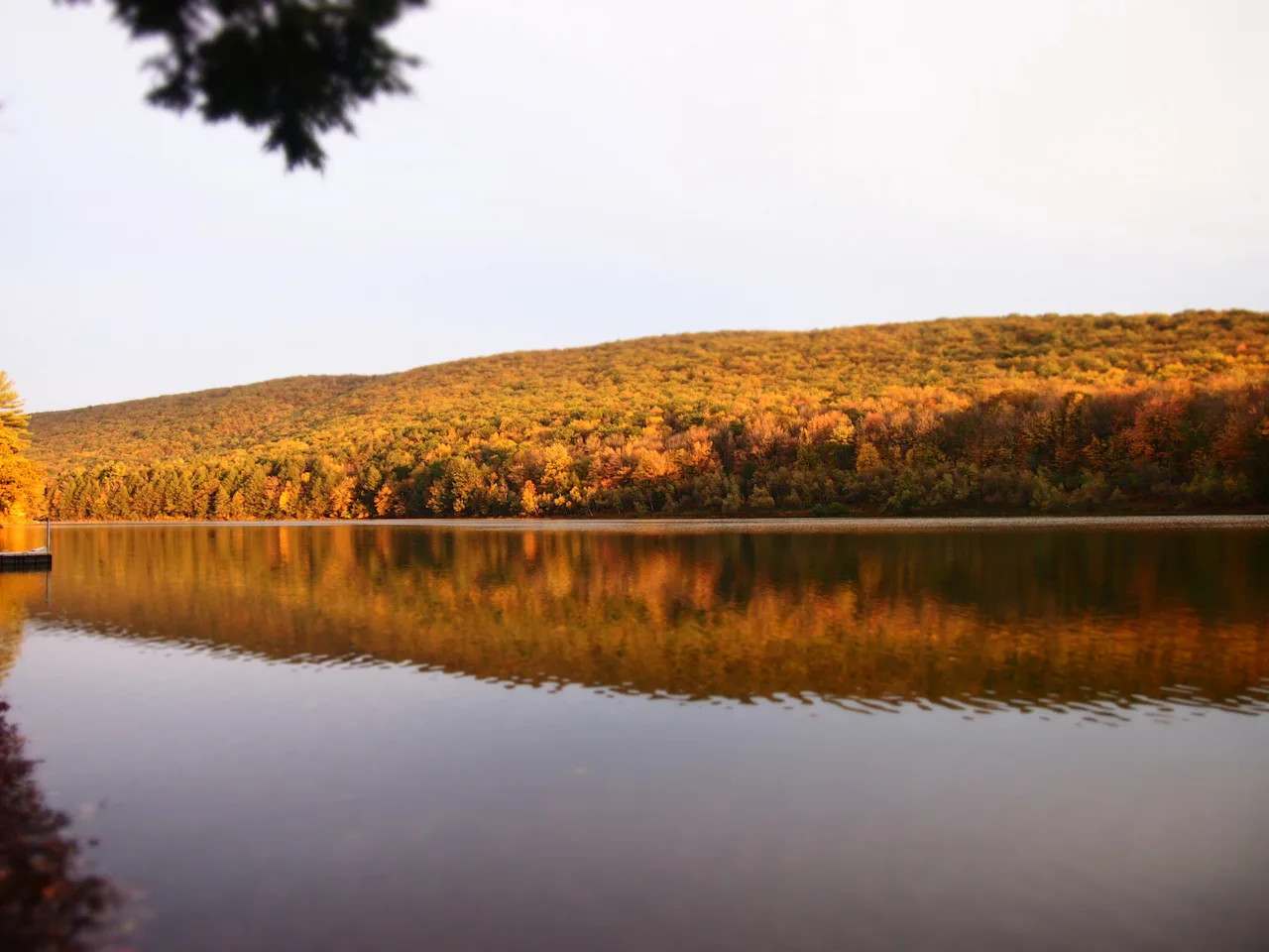 Council Cup Campground