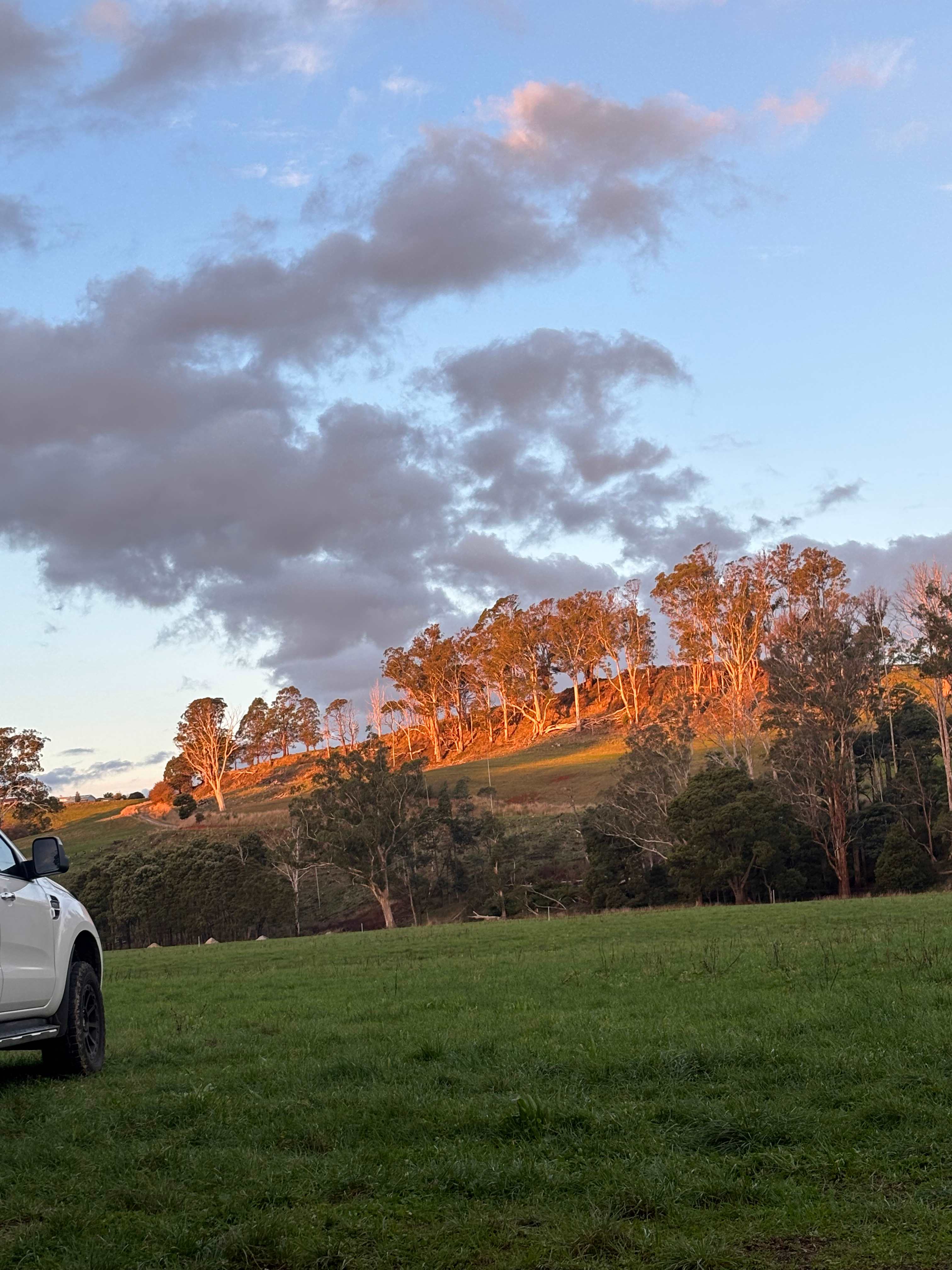 Fairview Farm Ringarooma Tasmania
