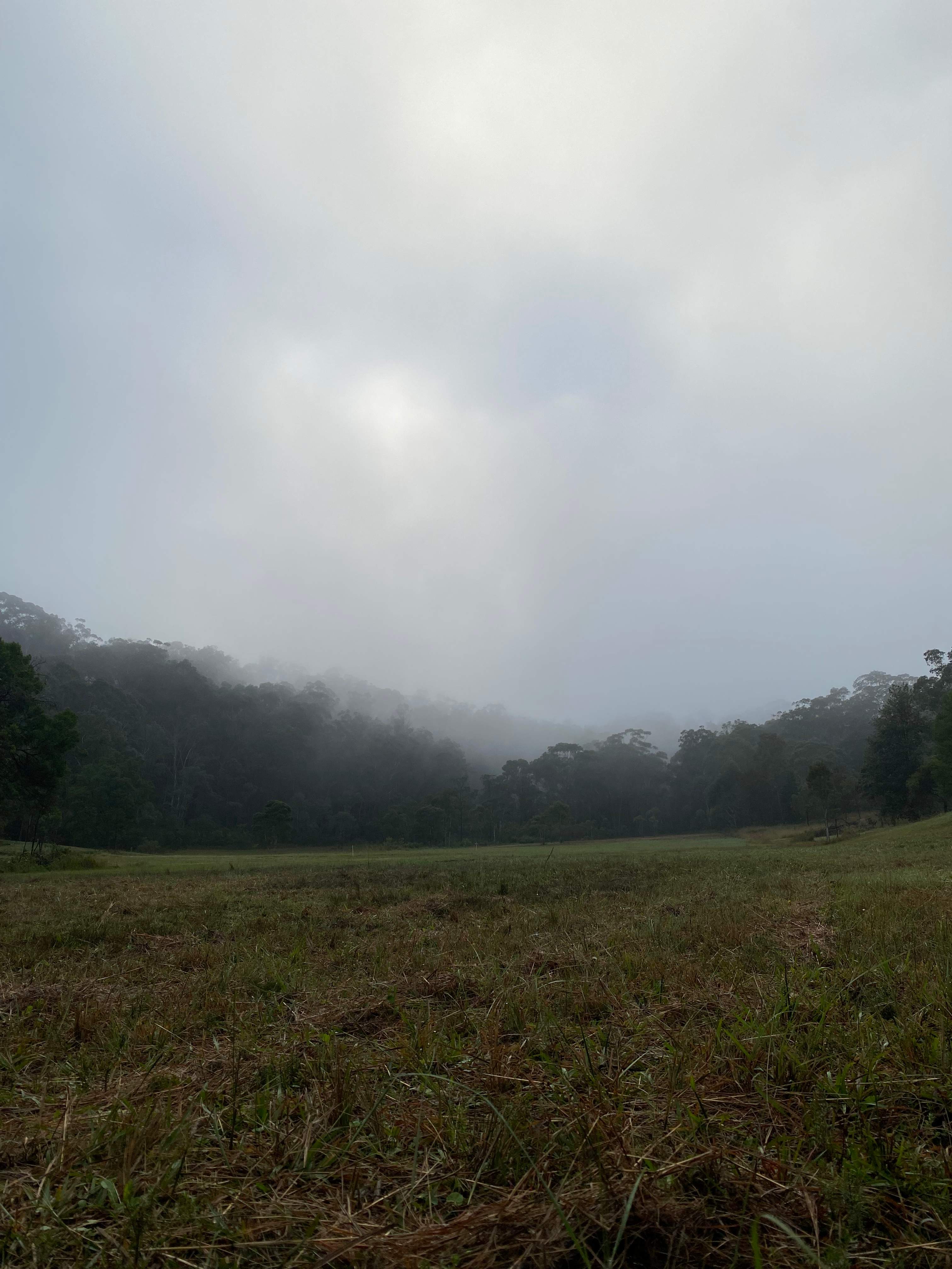 Bullridge Farm-Secluded & Uncrowded