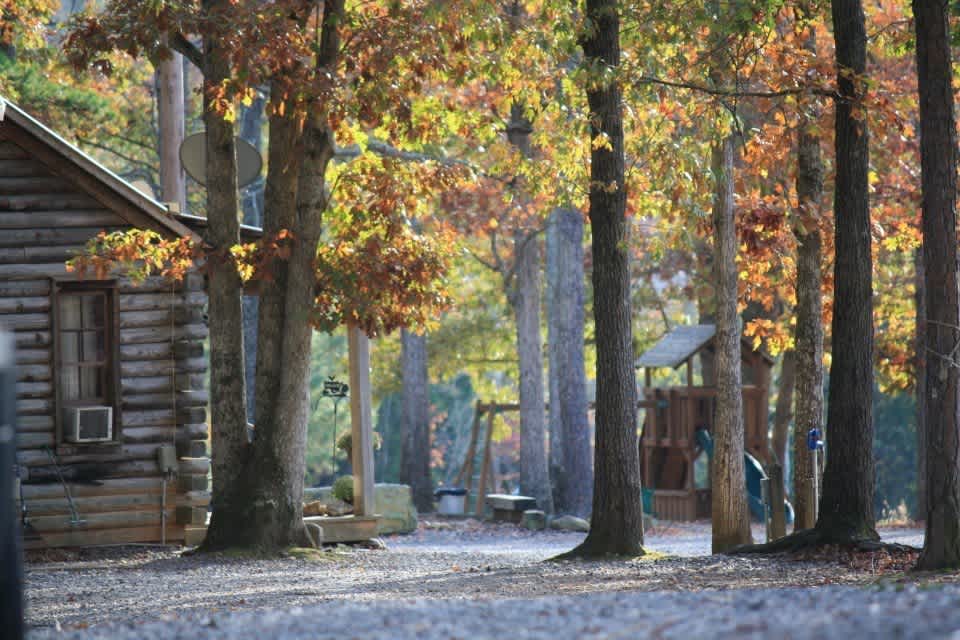 Cotton Patch Gold Mine & Campground