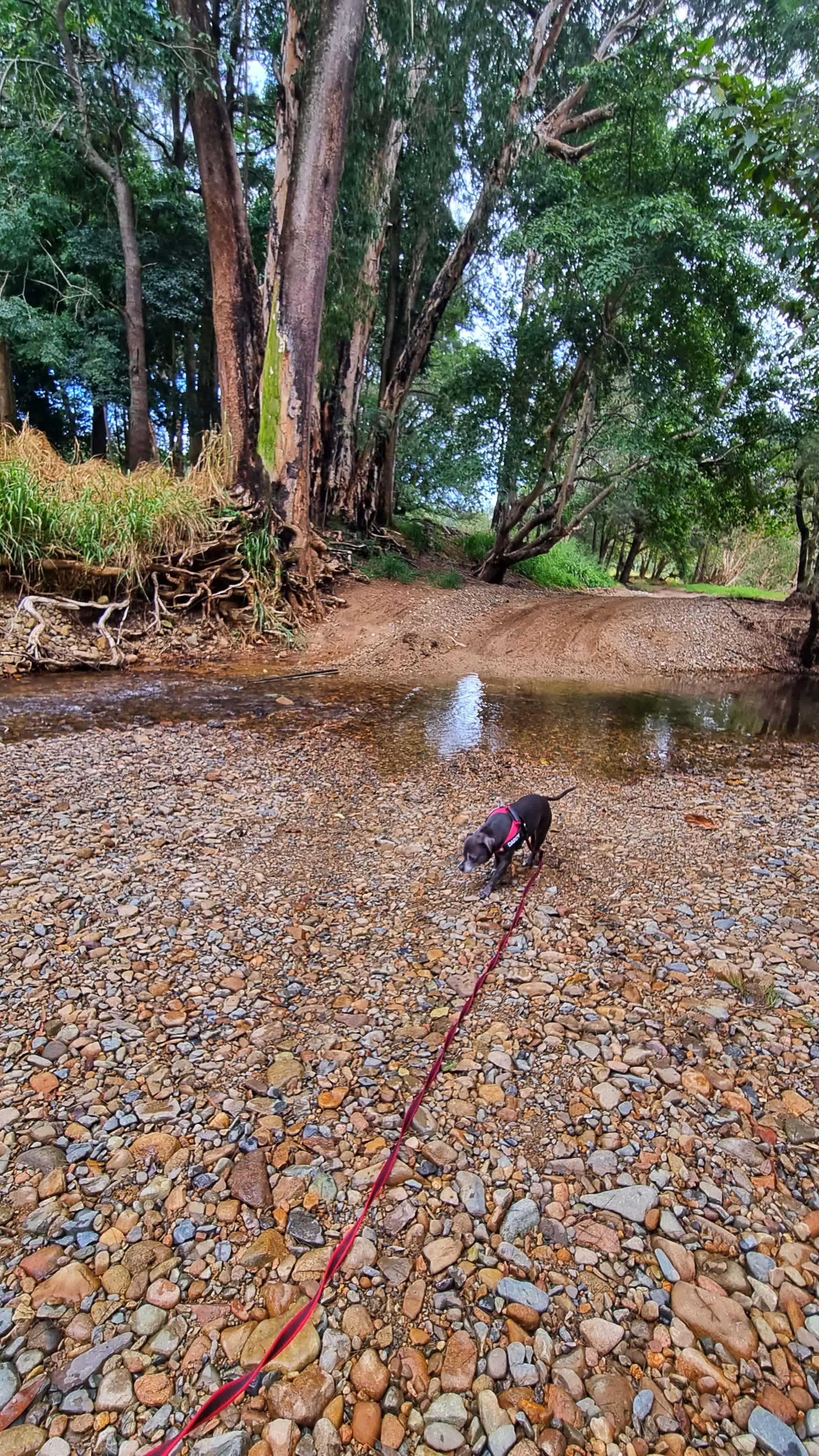 Creek and Antique Camping