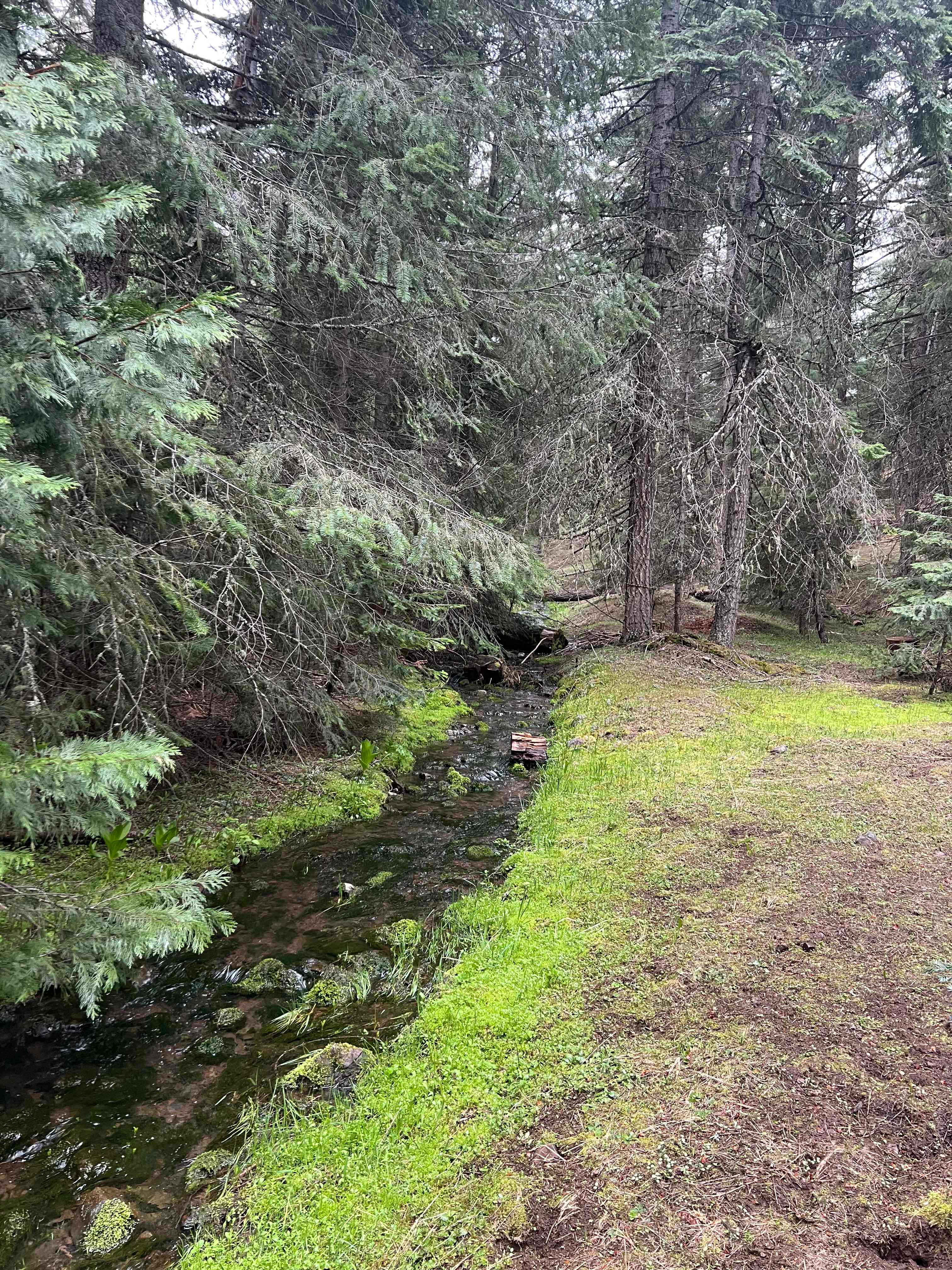 Owl Creek Cabin Mountain Getaway