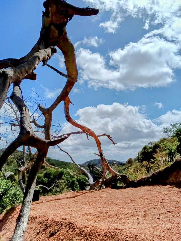 Detour n De Luz Fallbrook San Diego