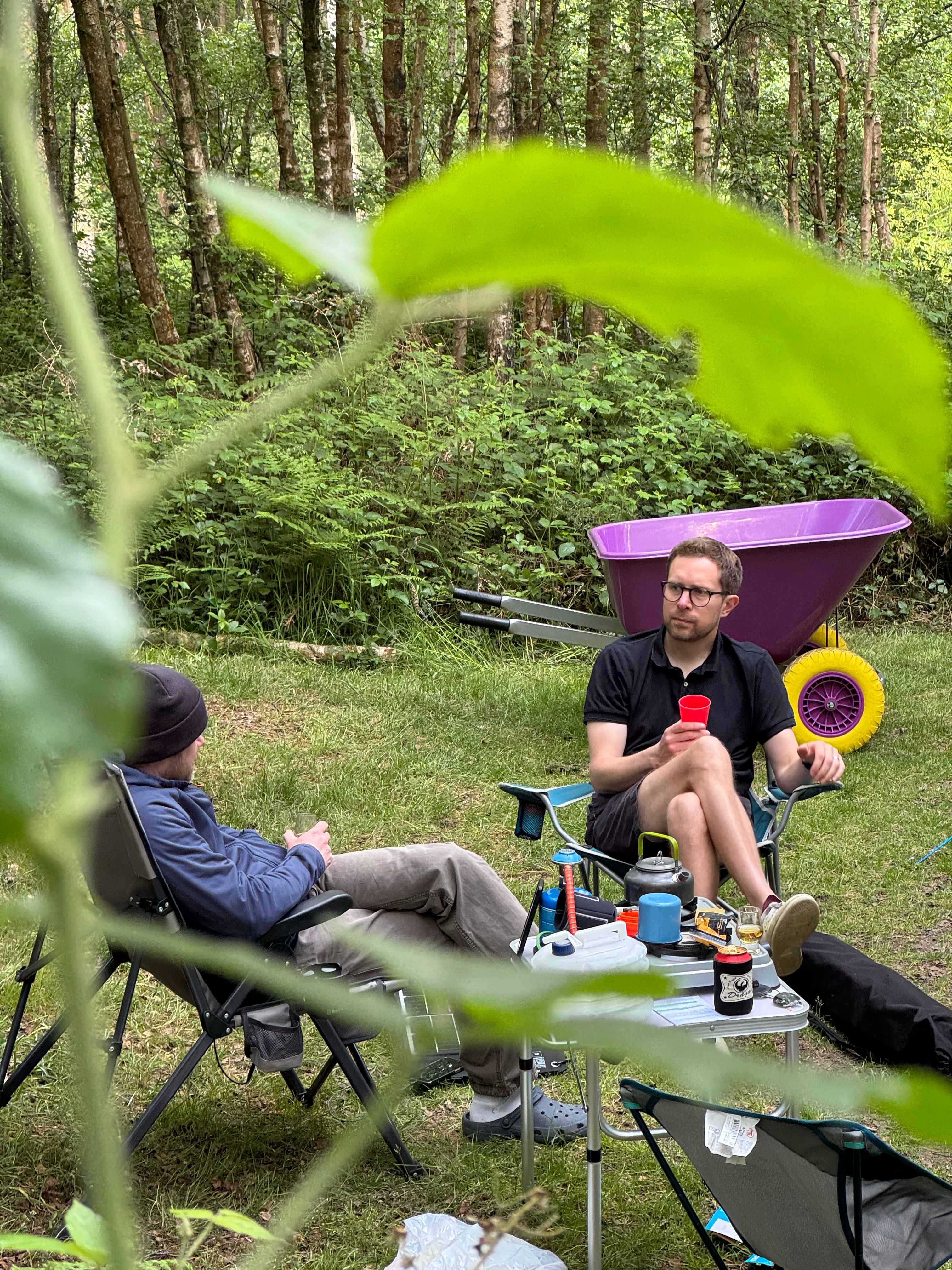 Beech Estate Campsite