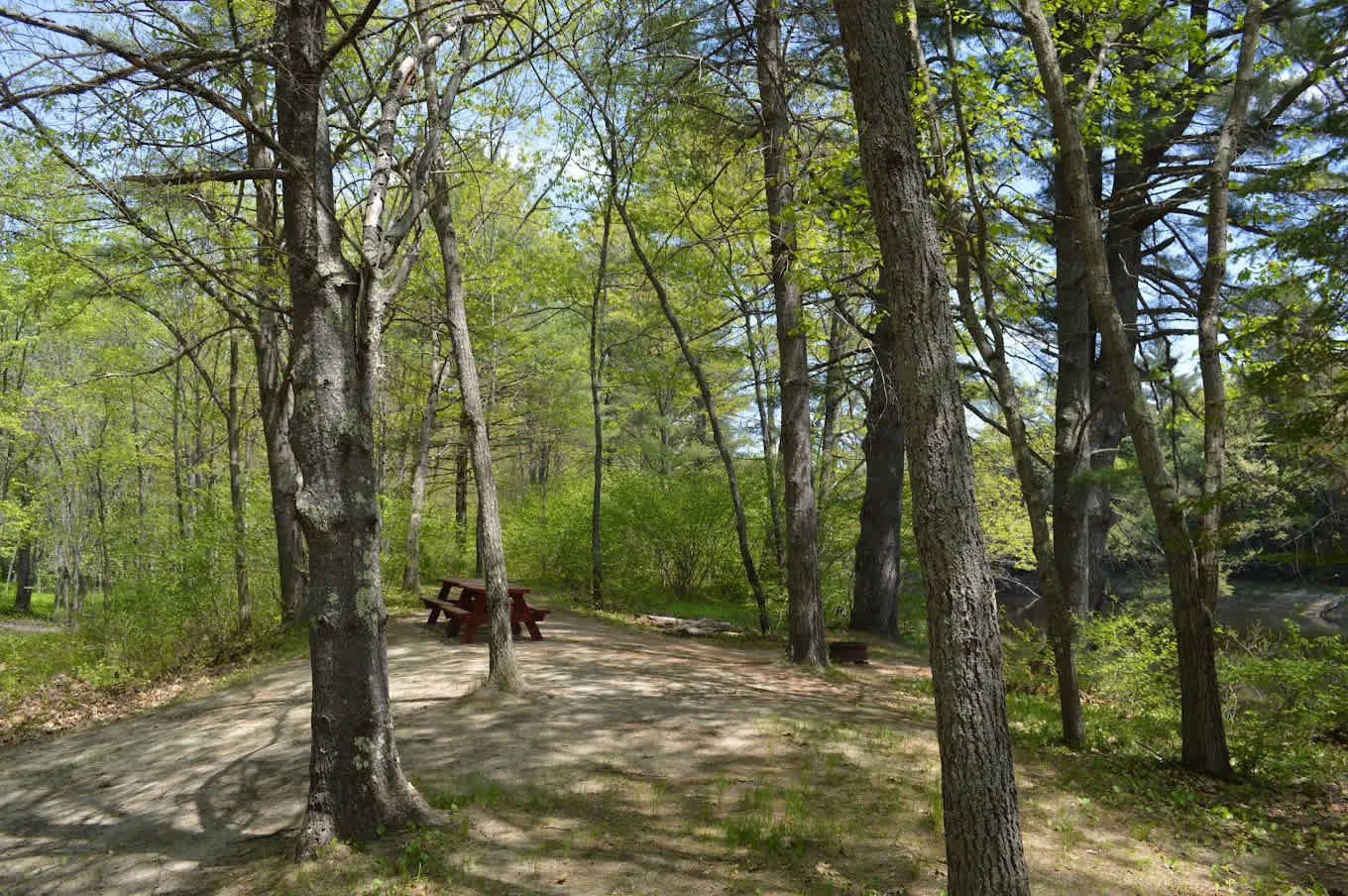 On the Saco Family Campground