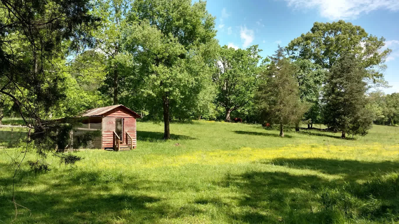Byrd's Branch Campground and Country Store