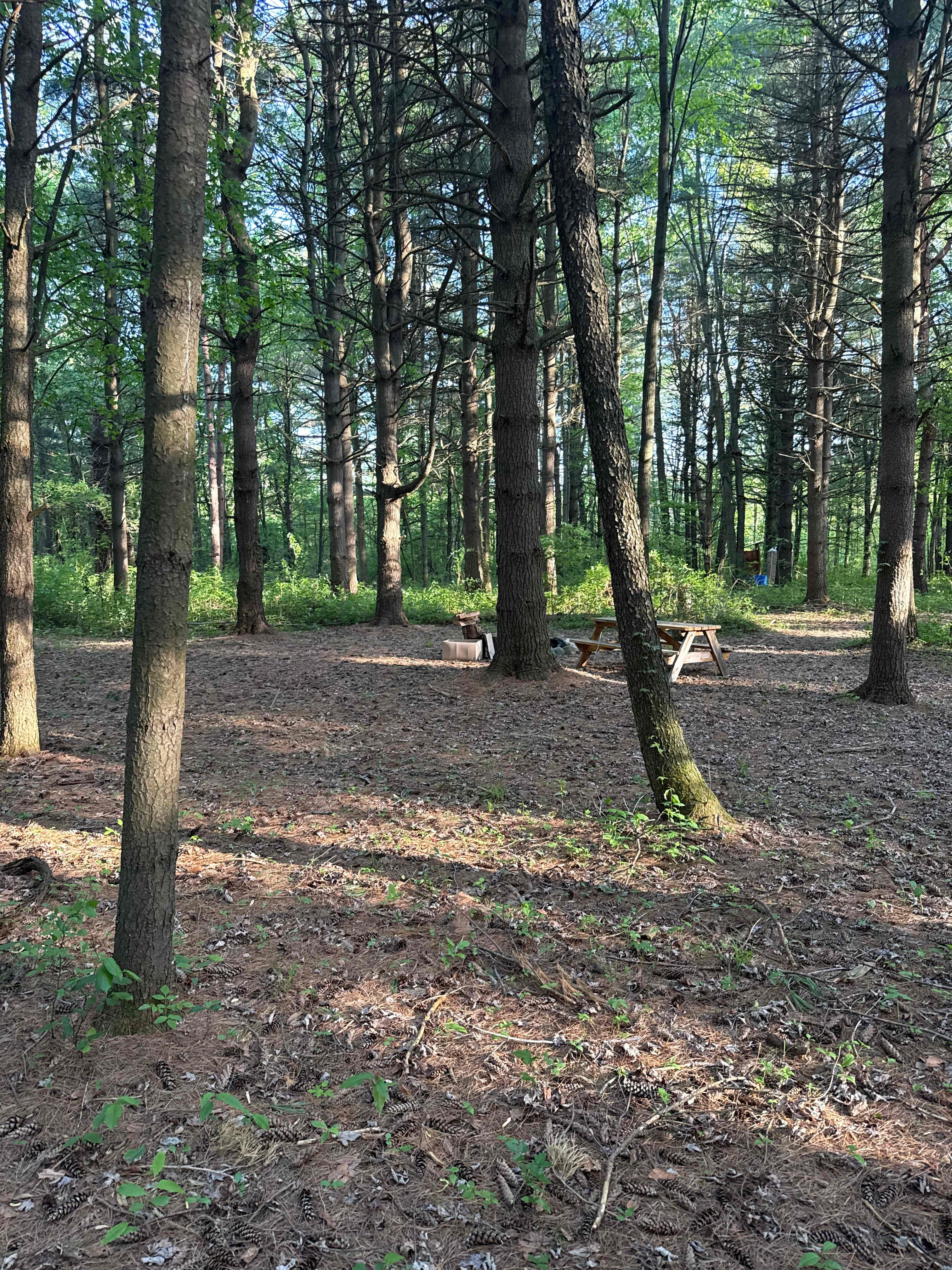 Thousand S.’s Land