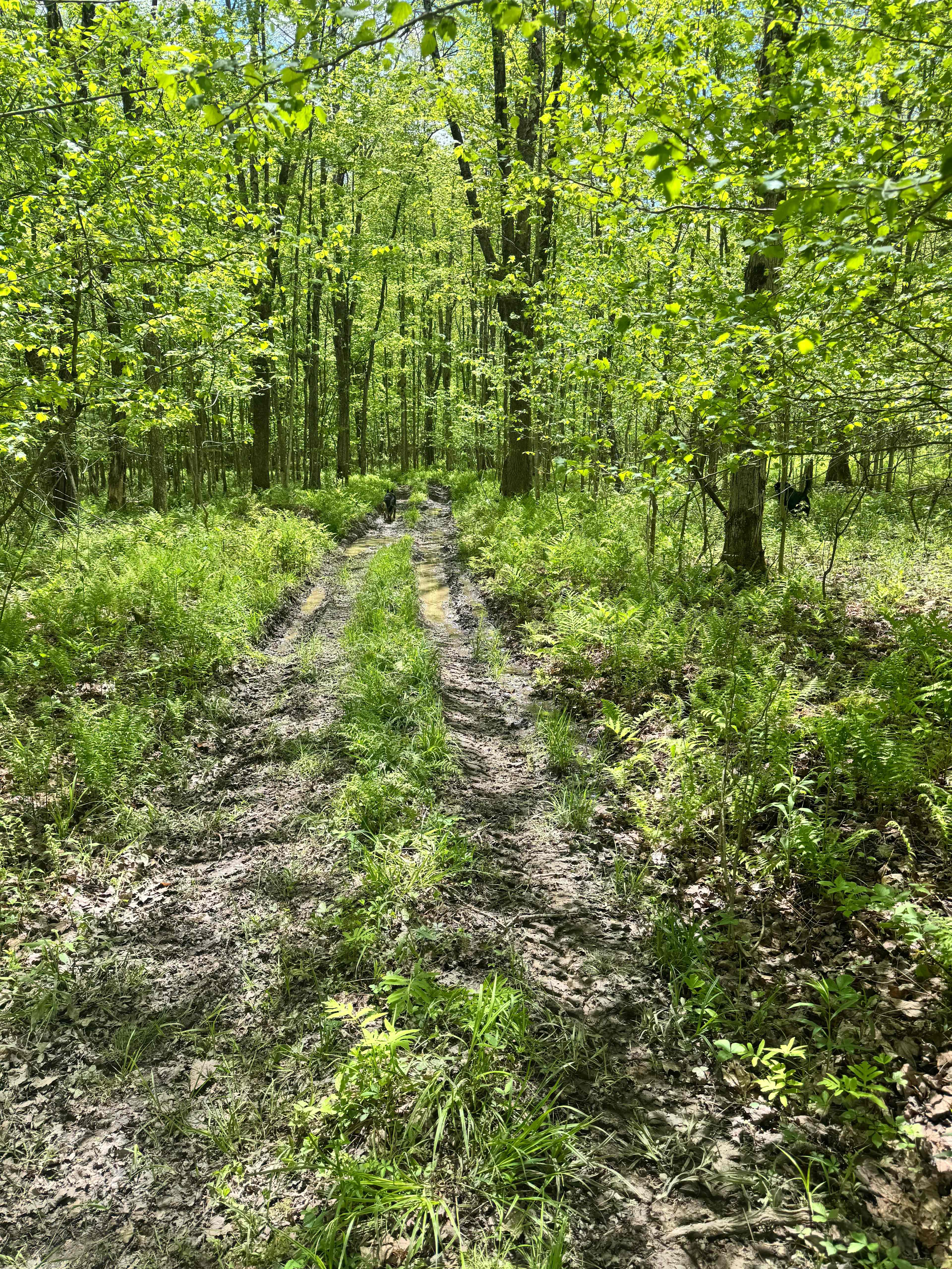 Some of the hiking and ATV trails we adventured down