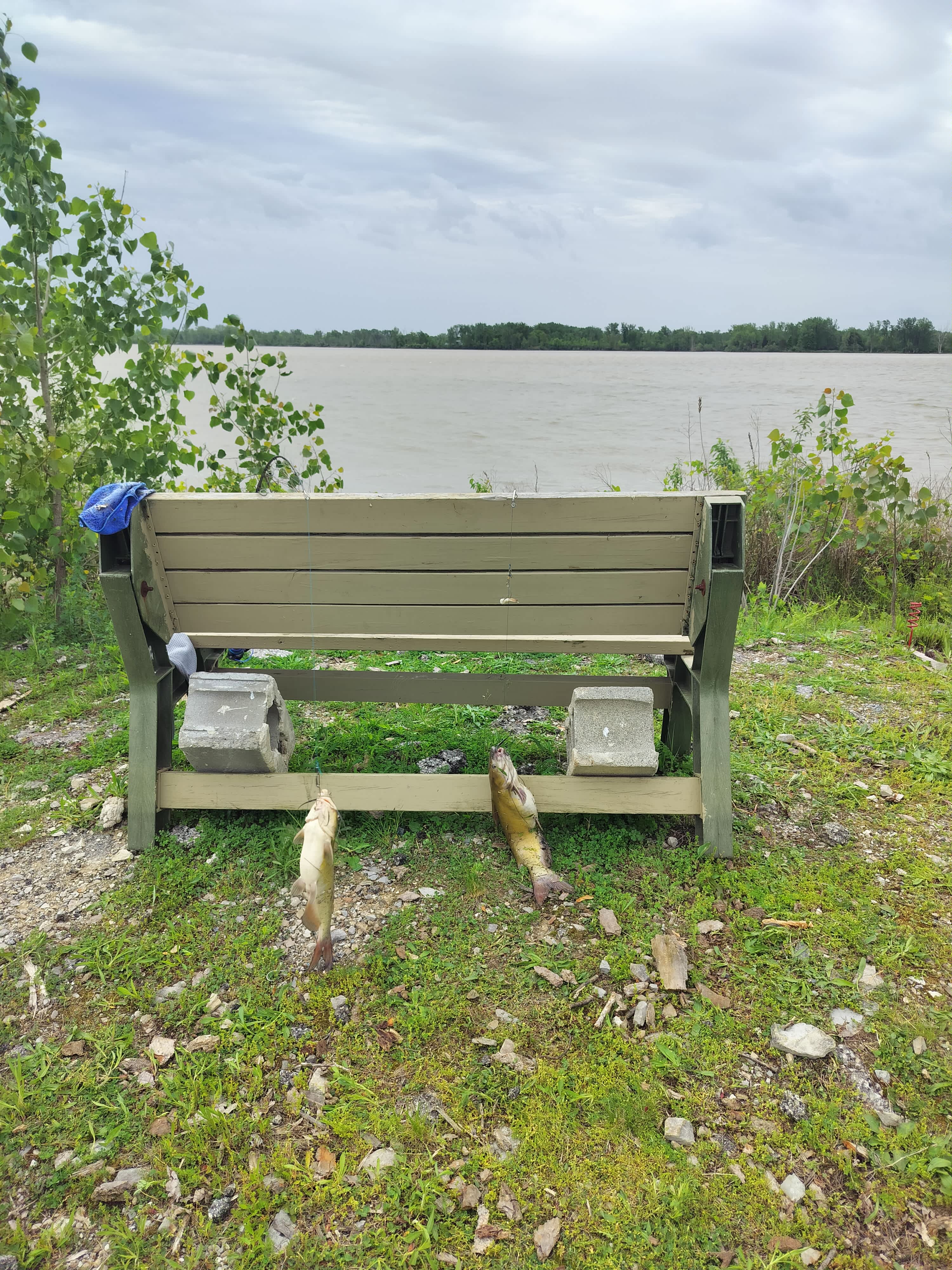 Riverside Camping