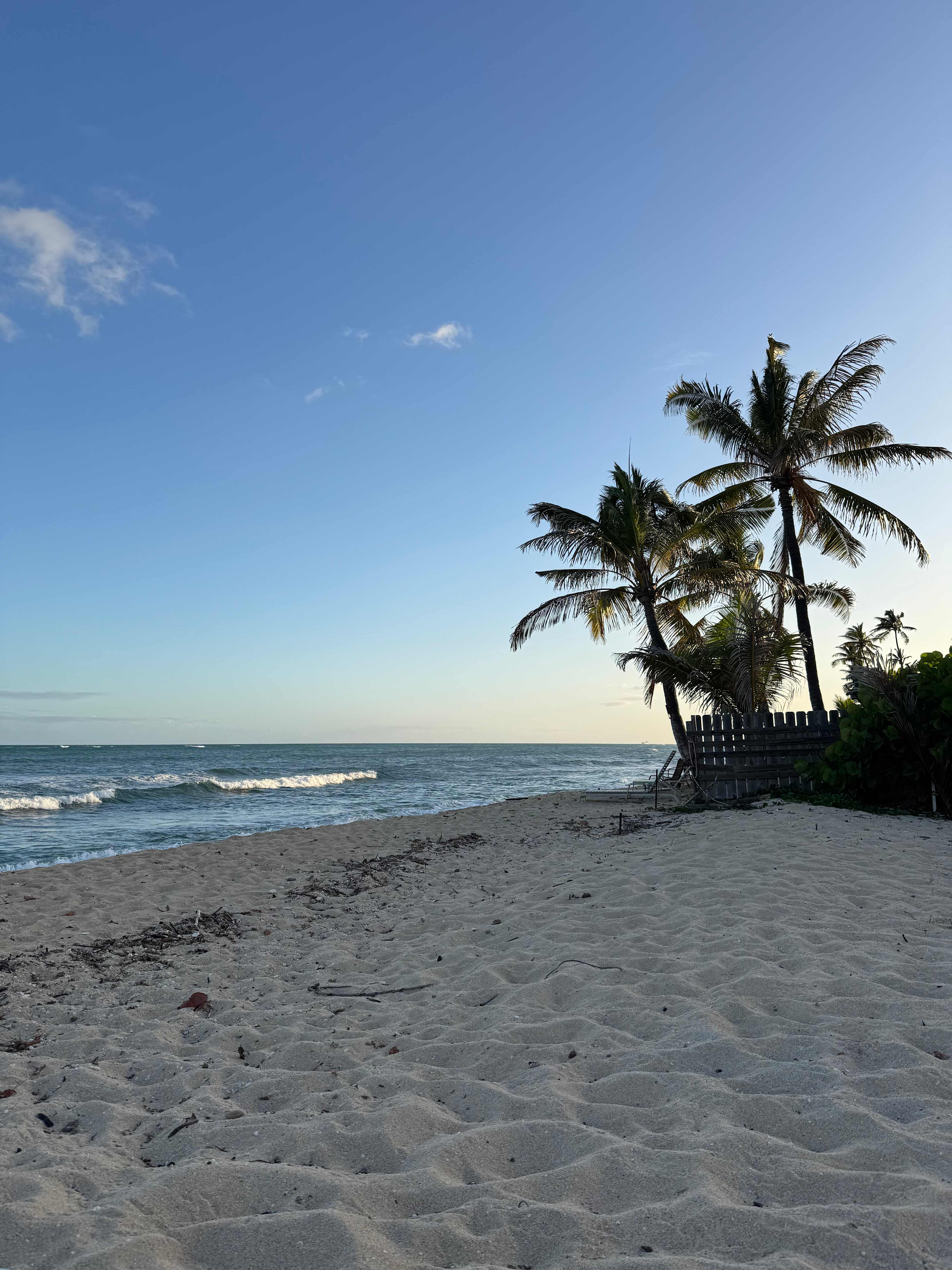 The Beach