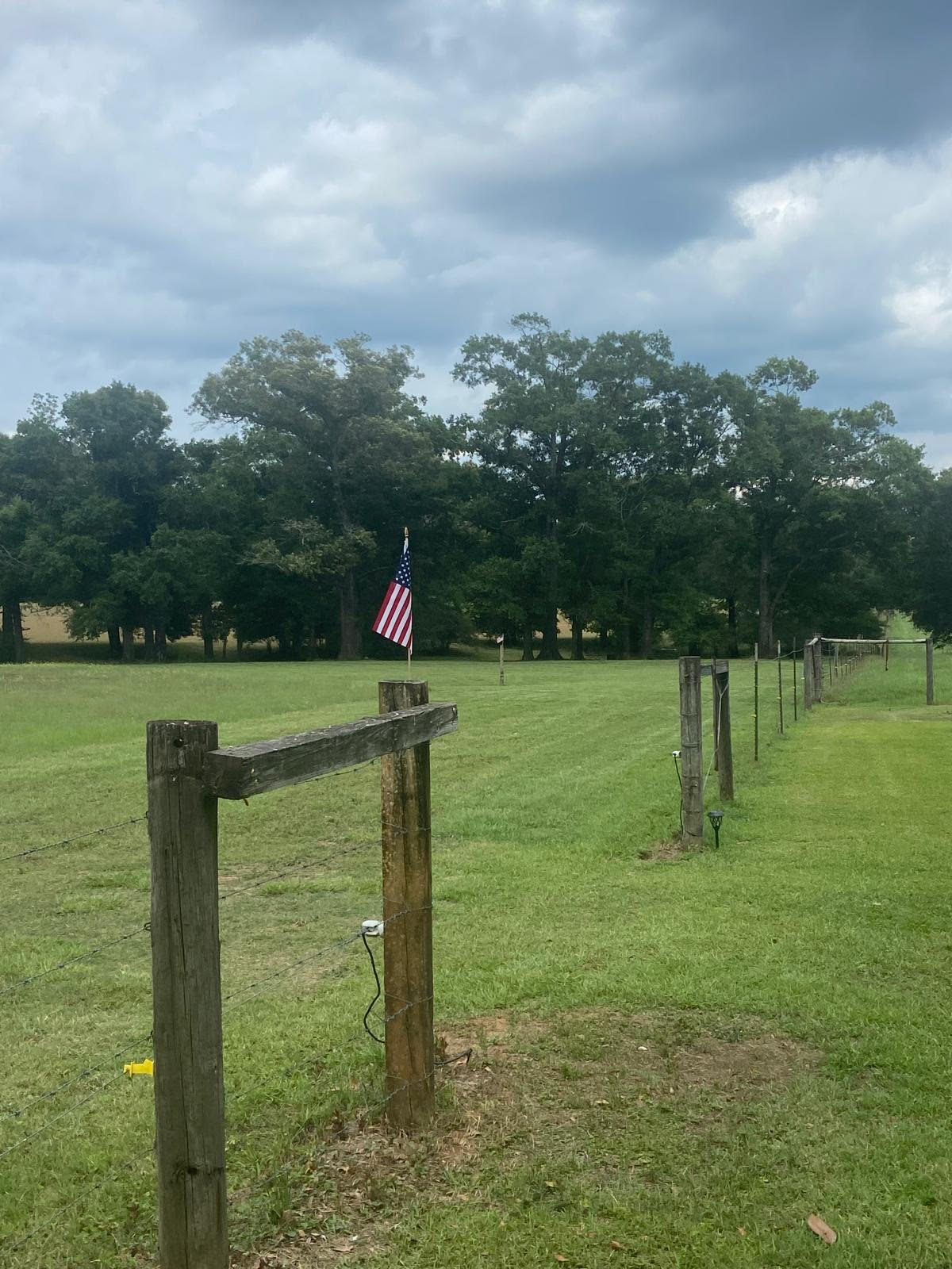 Whispering Wind In The Live Oaks