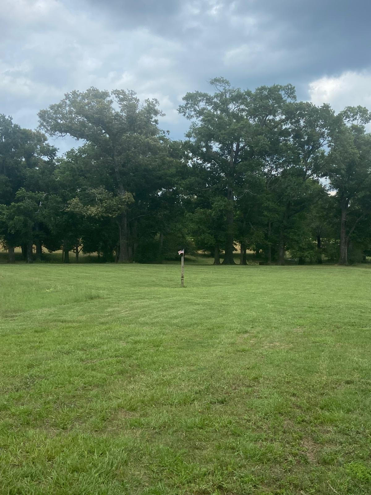 Whispering Wind In The Live Oaks