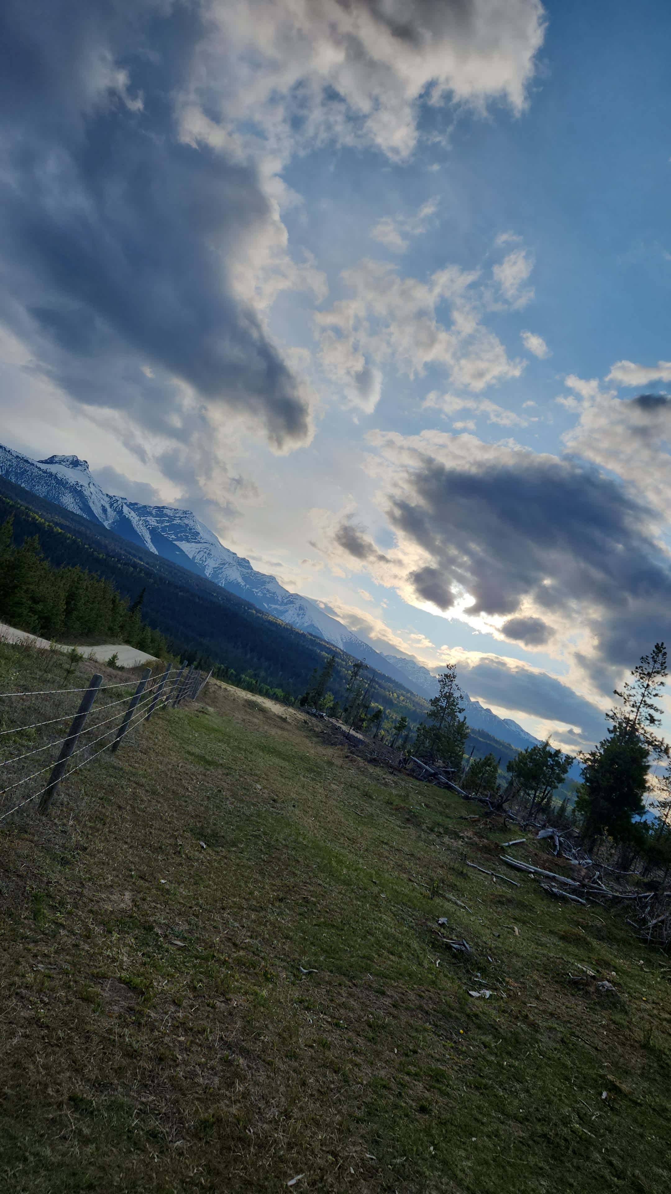 Fuzzy Buddy Ranch