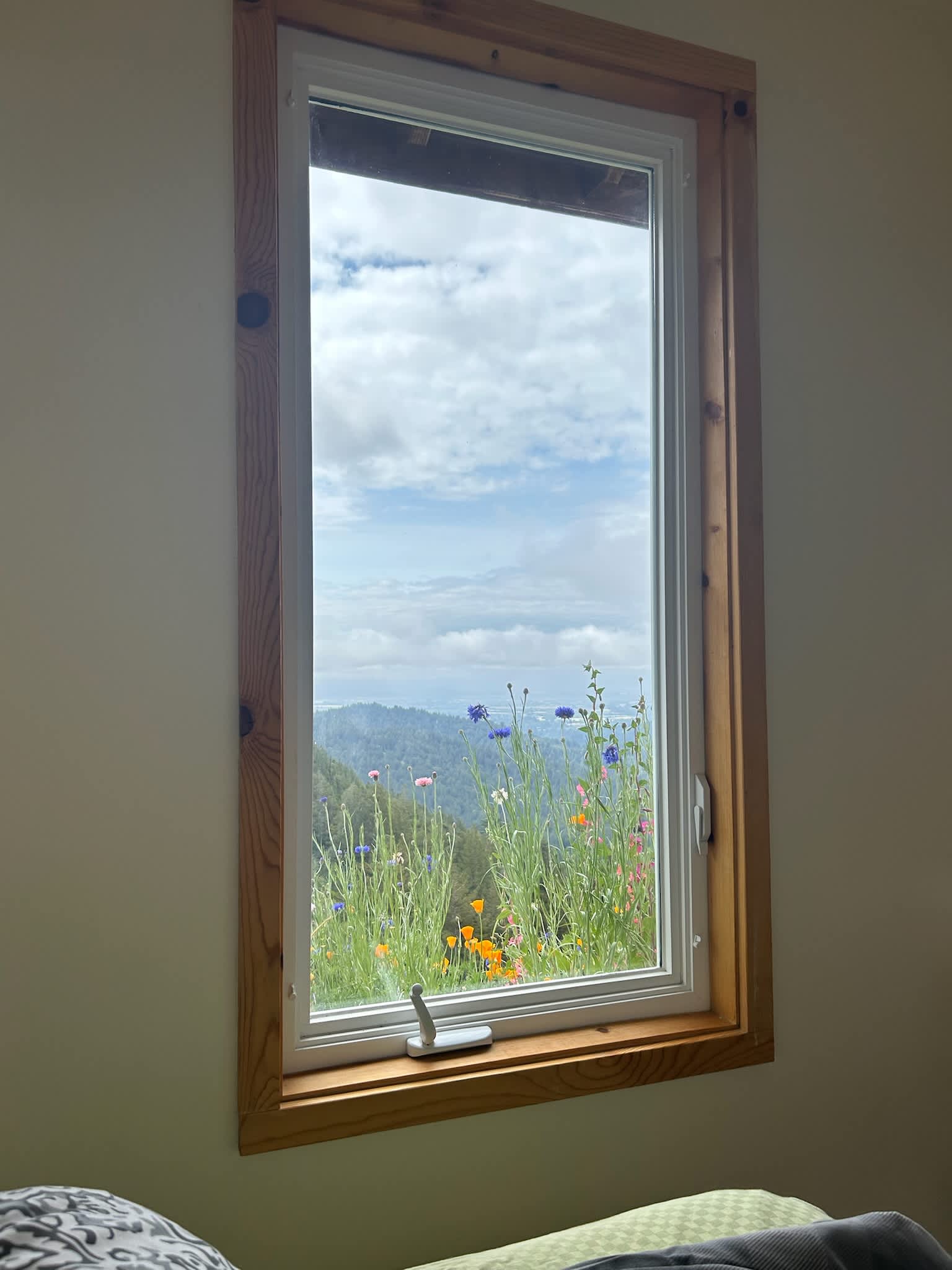 The view from the bed 