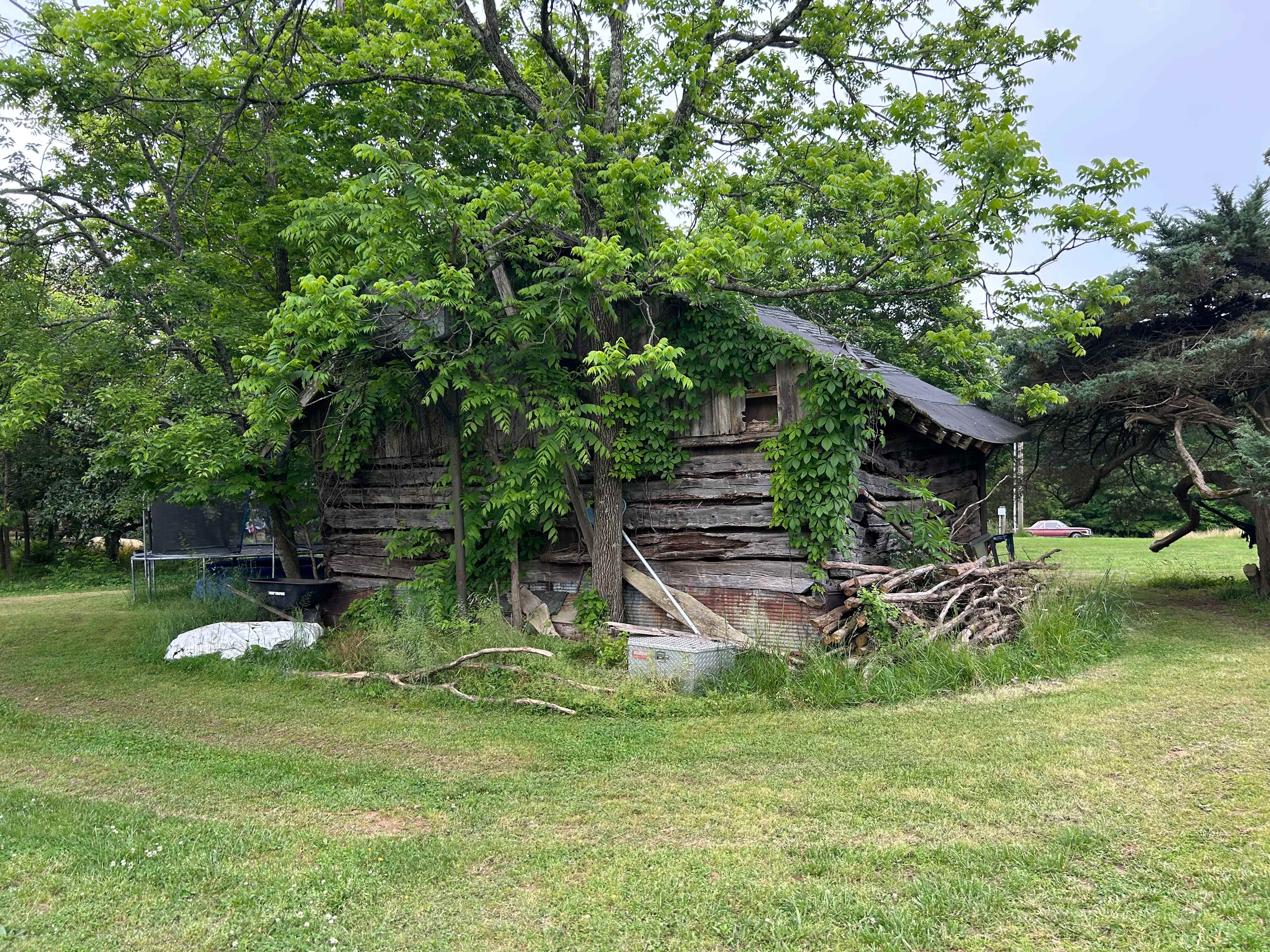 Sacred Dog Ranch
