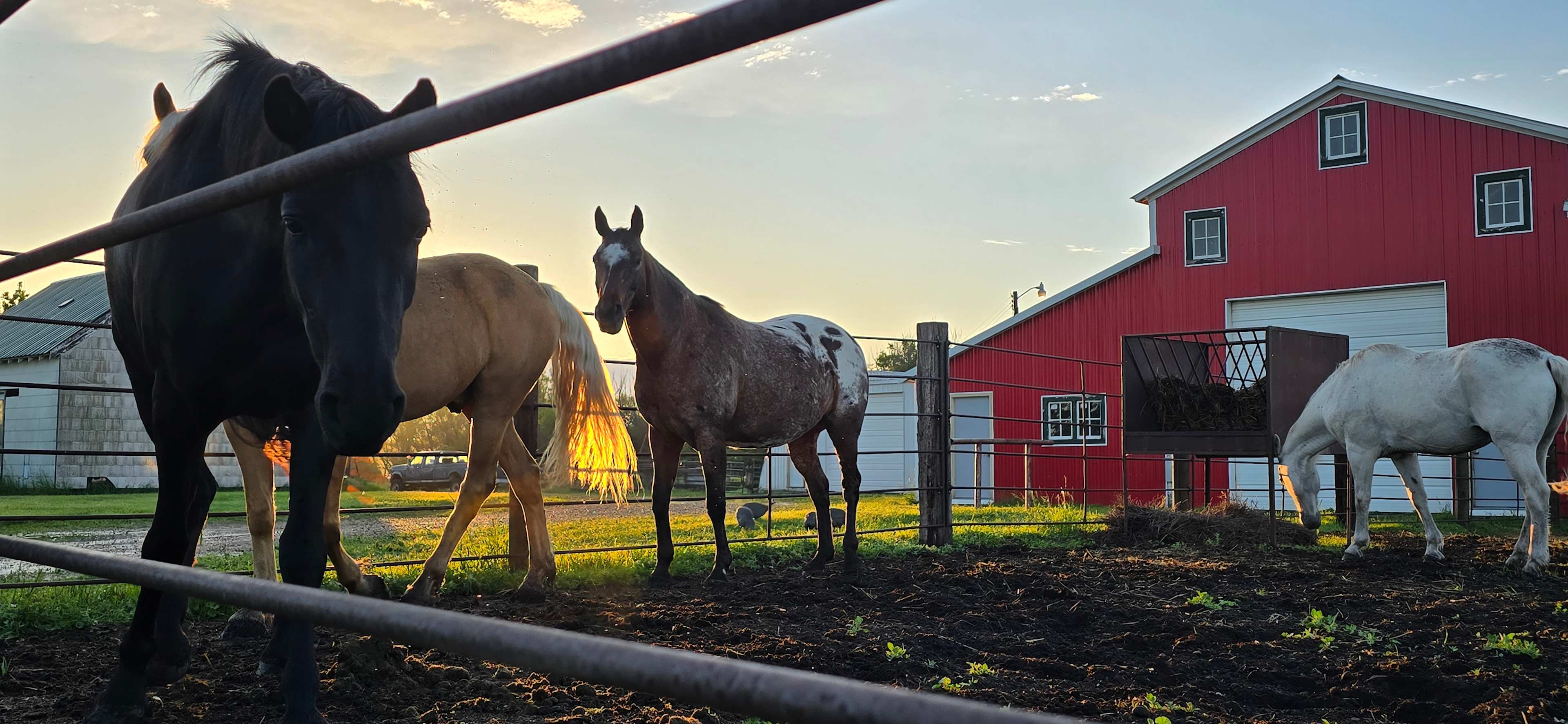 Lightning Arrow Ranch