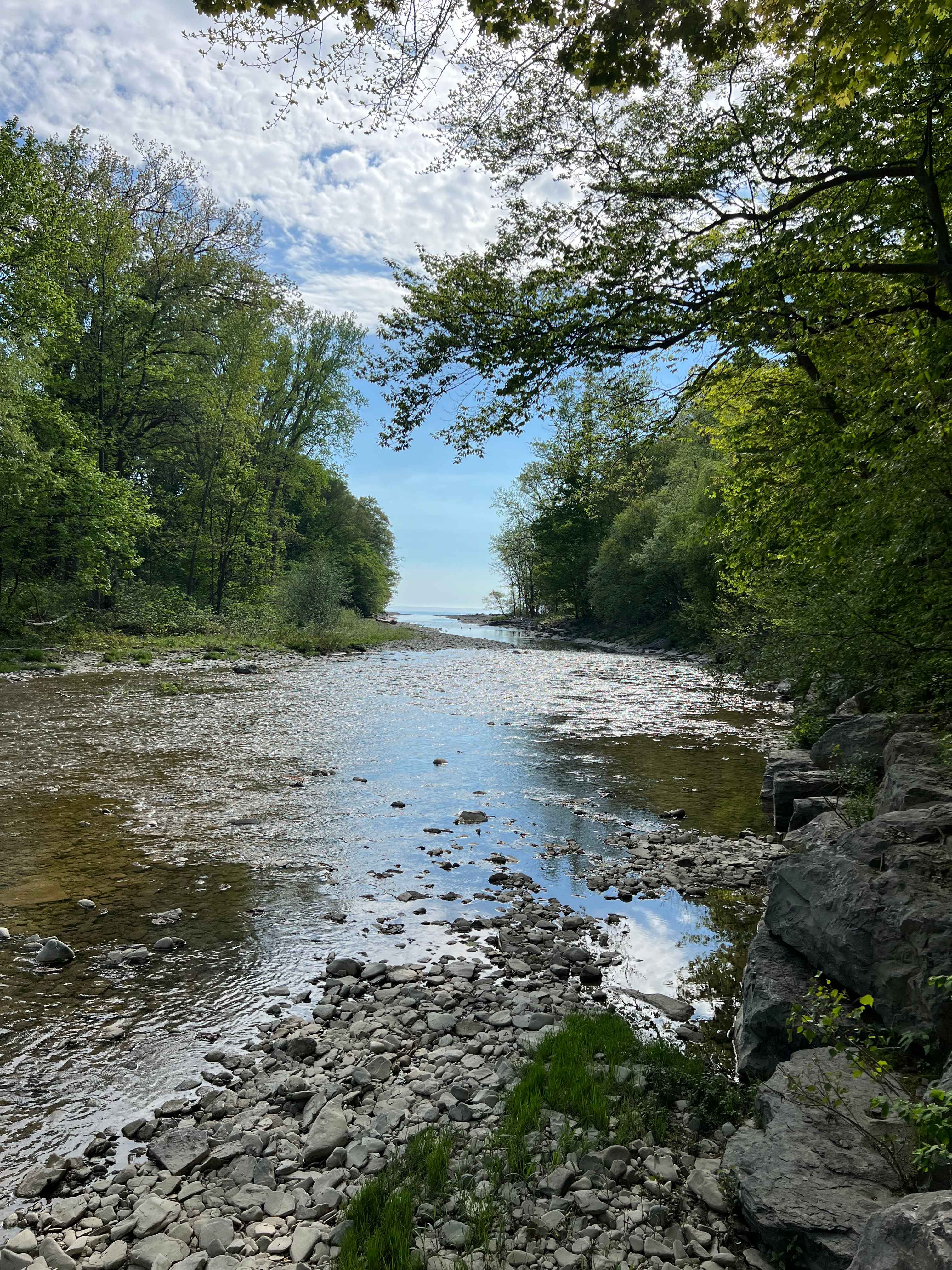 Steelhead Run Recreation Area