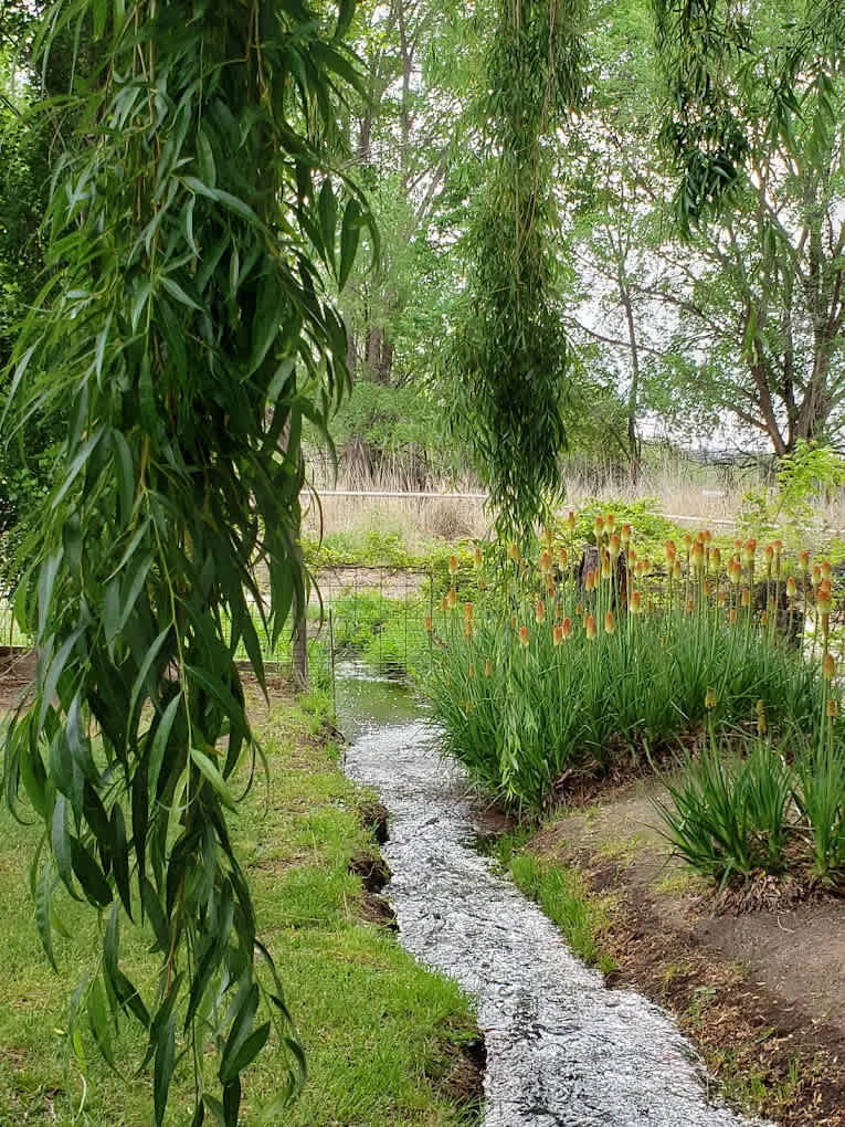 Moonflower Meadow RV Resort
