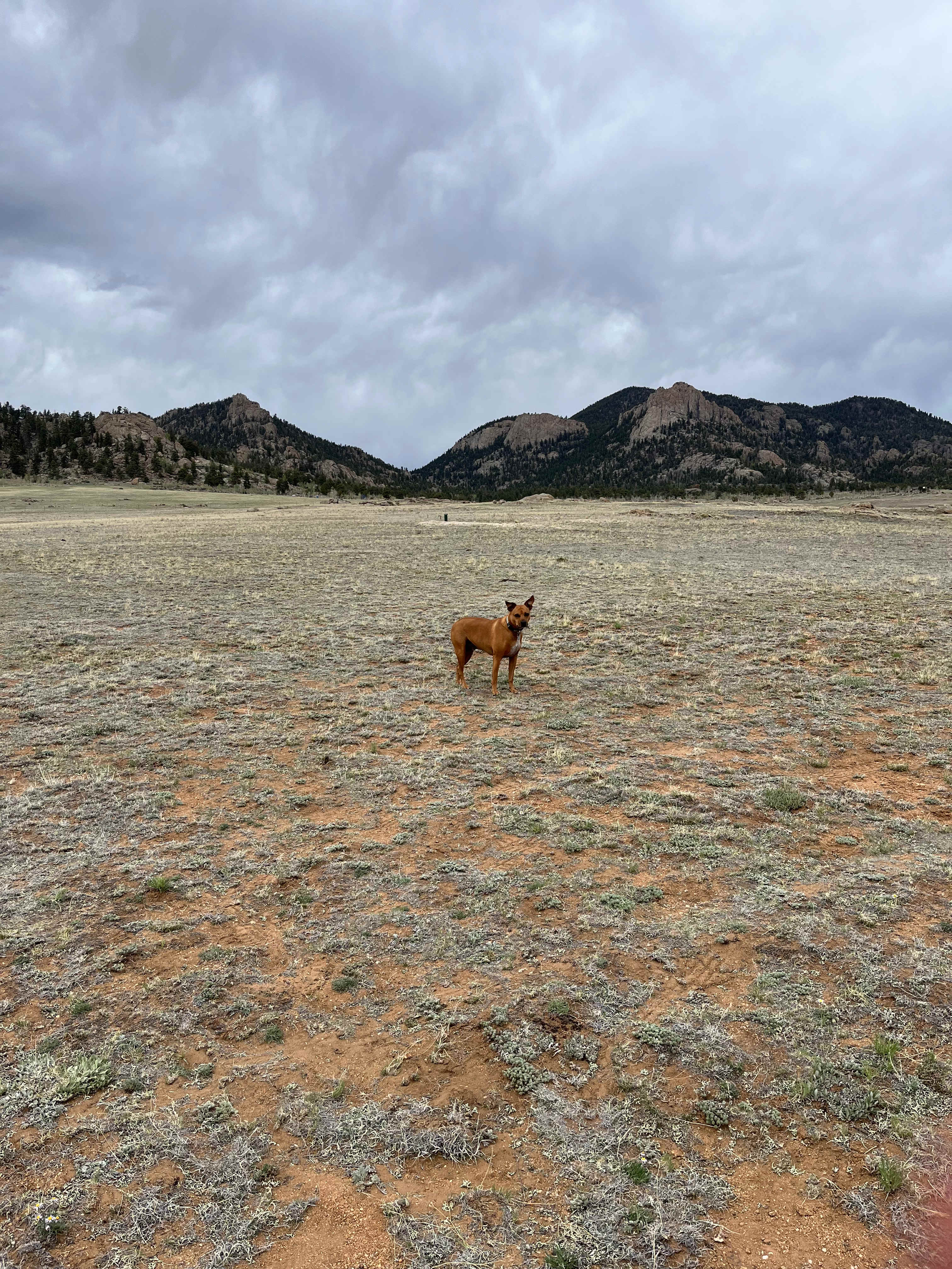 Open 40 Acres Near The Dream Stream