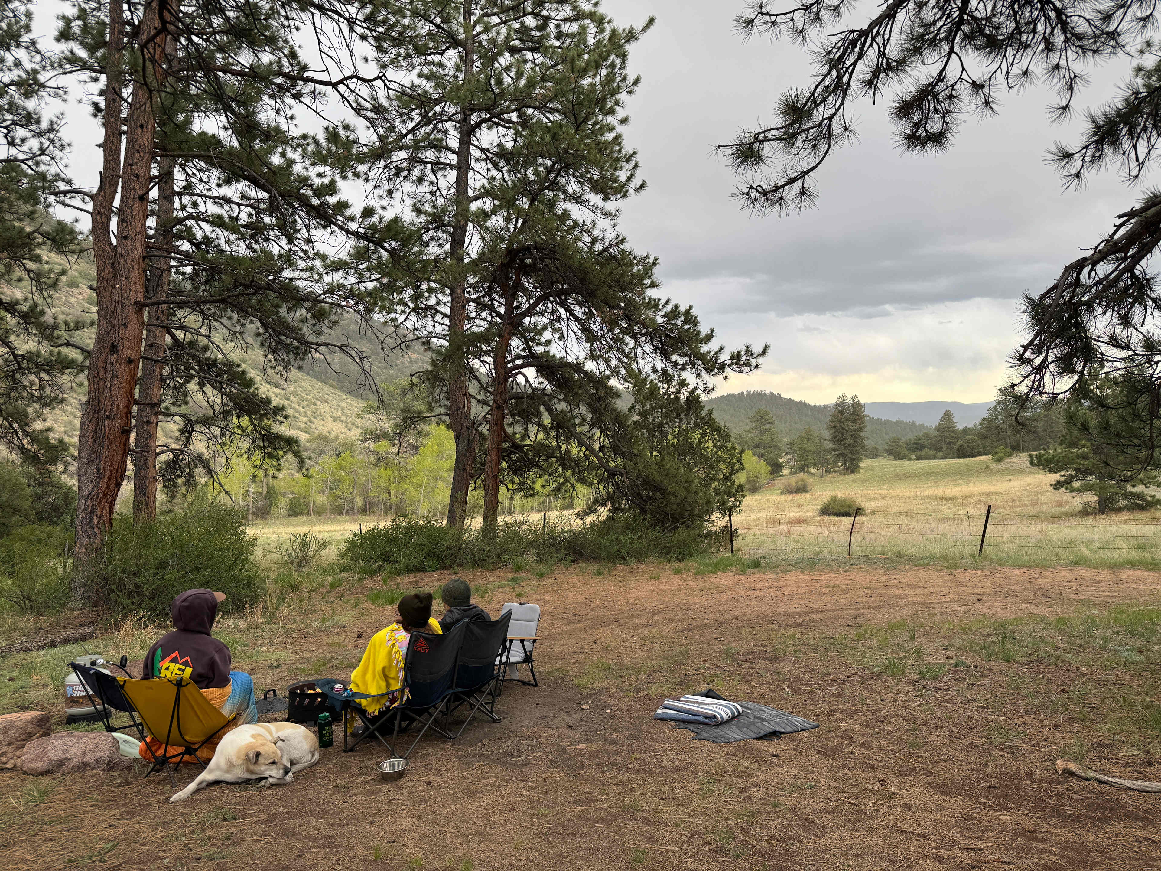 Serenity in the Foothills