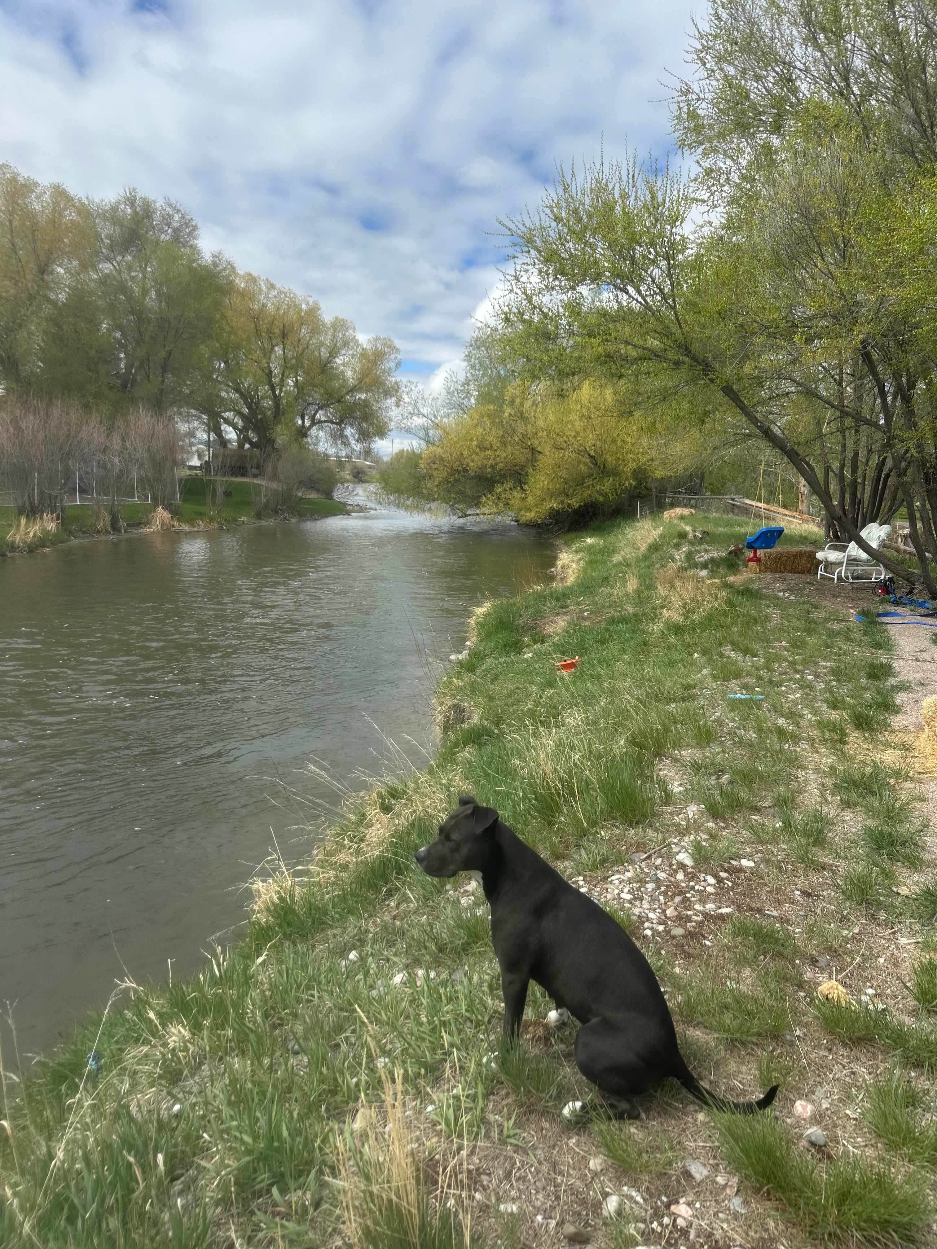 Beaverhead River RV Pad