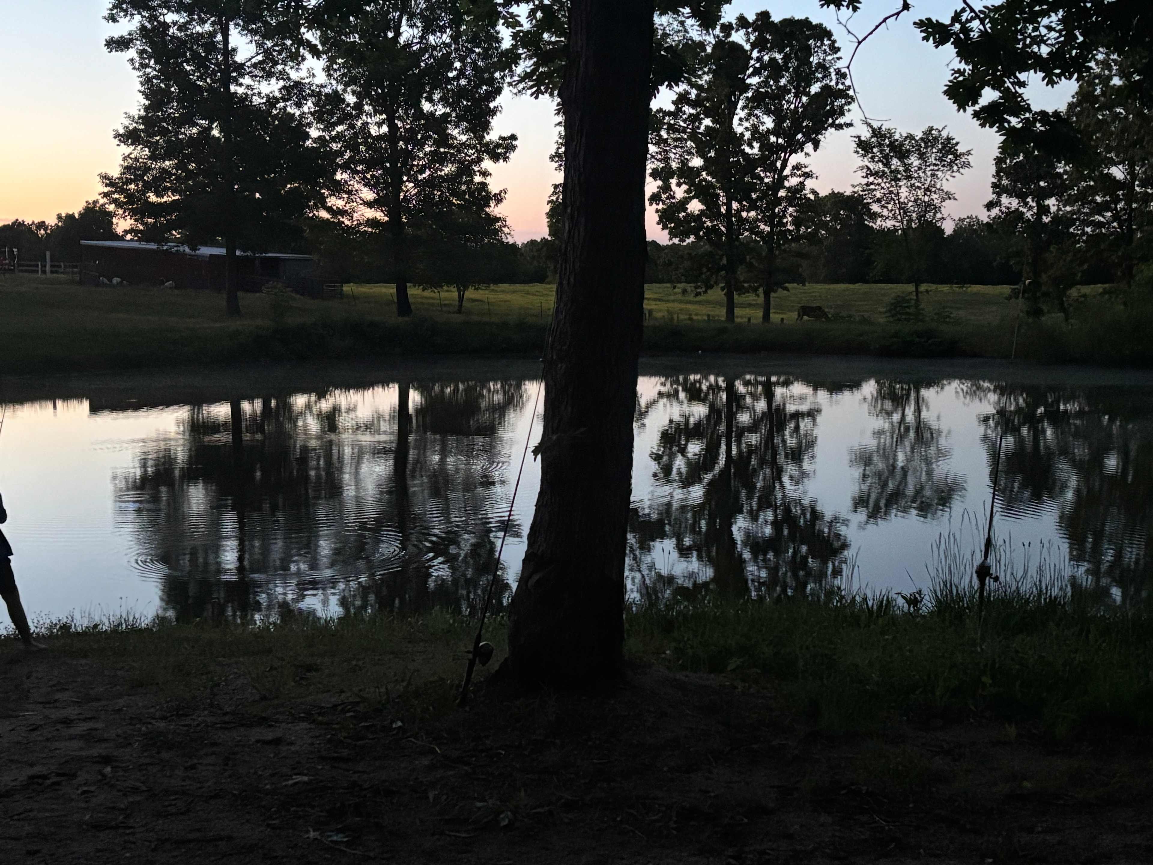 Hawks Bluff Farm Campground
