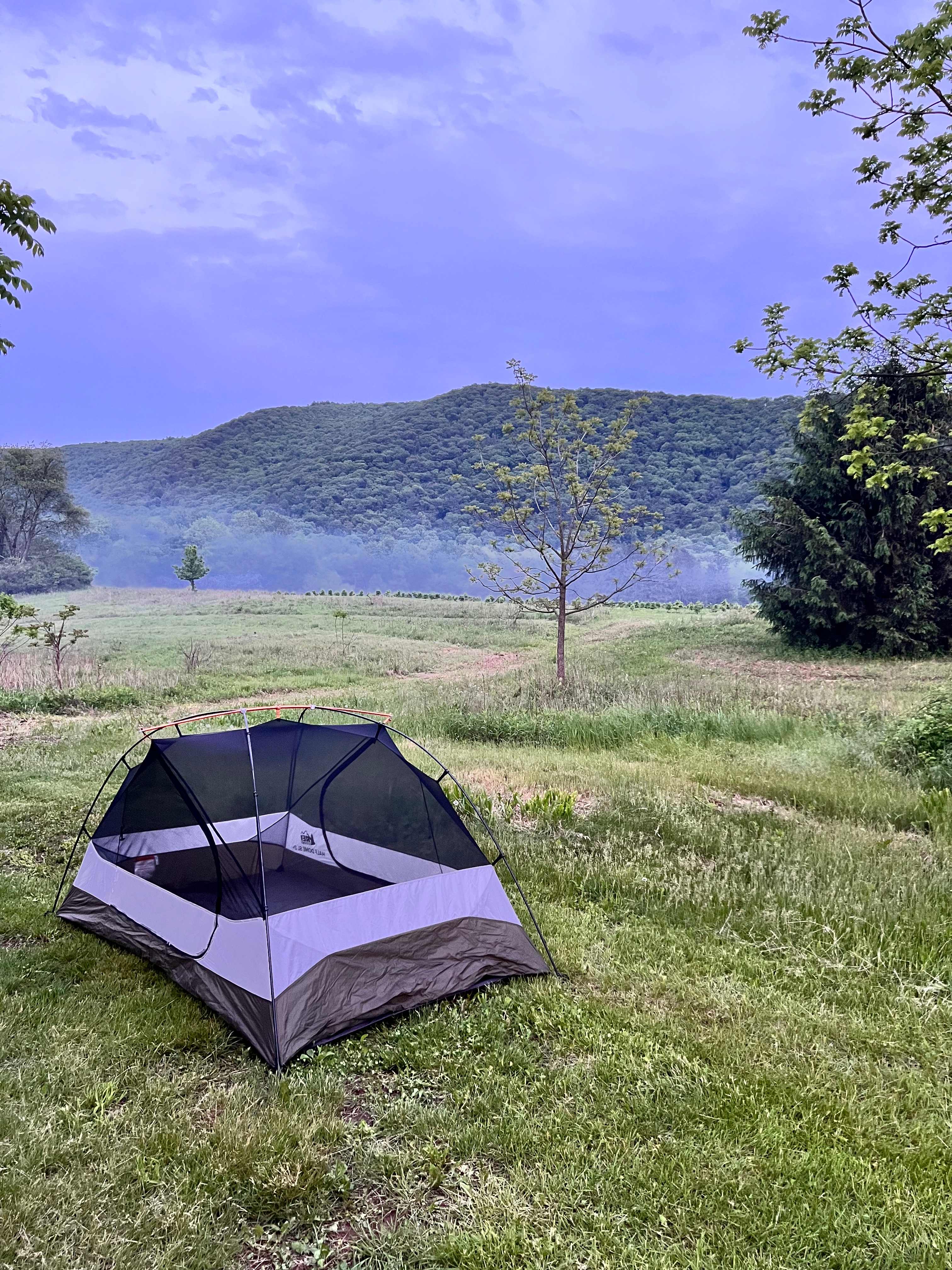 Tent views