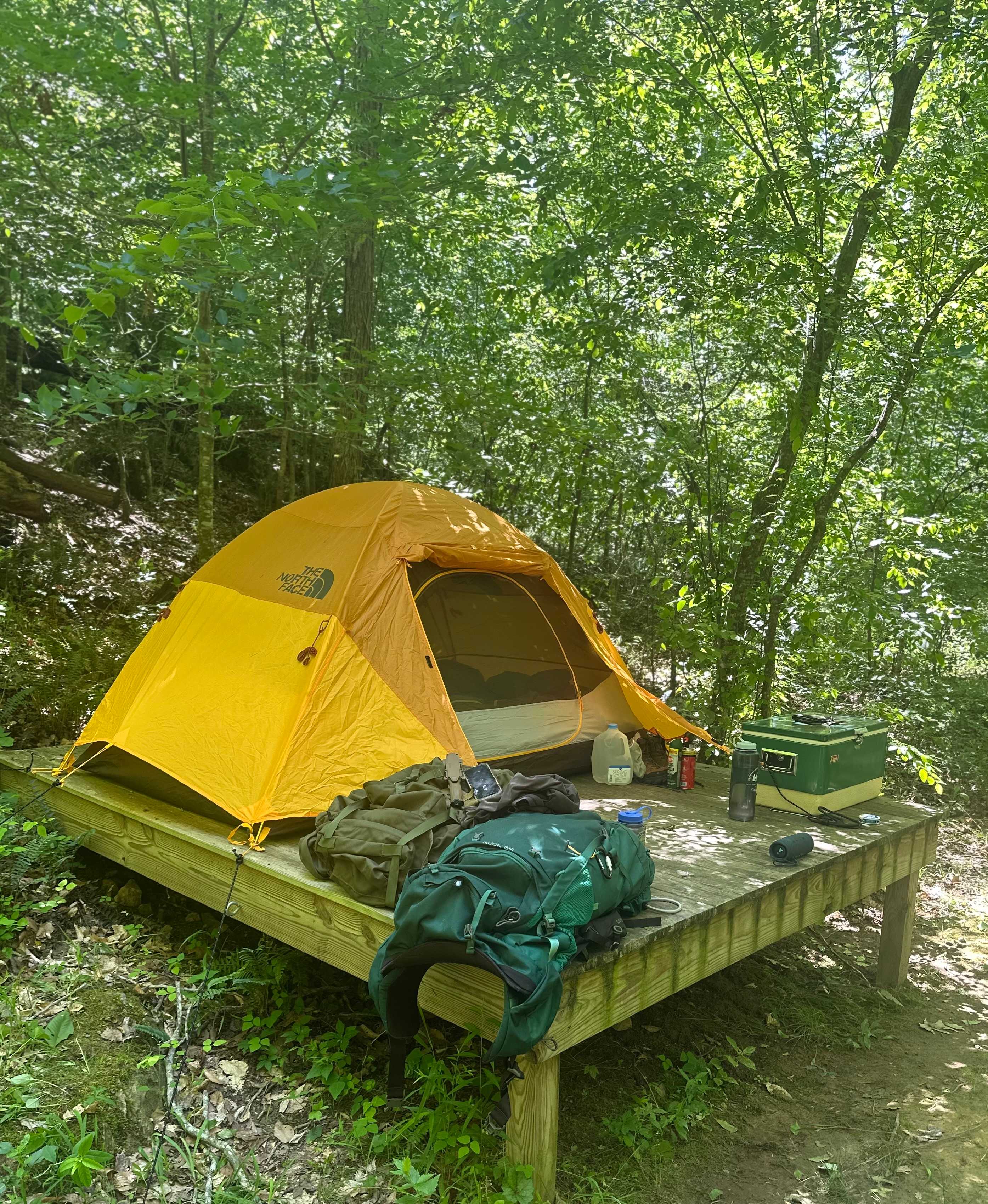 Rare, Watershed Forest - Piedmont