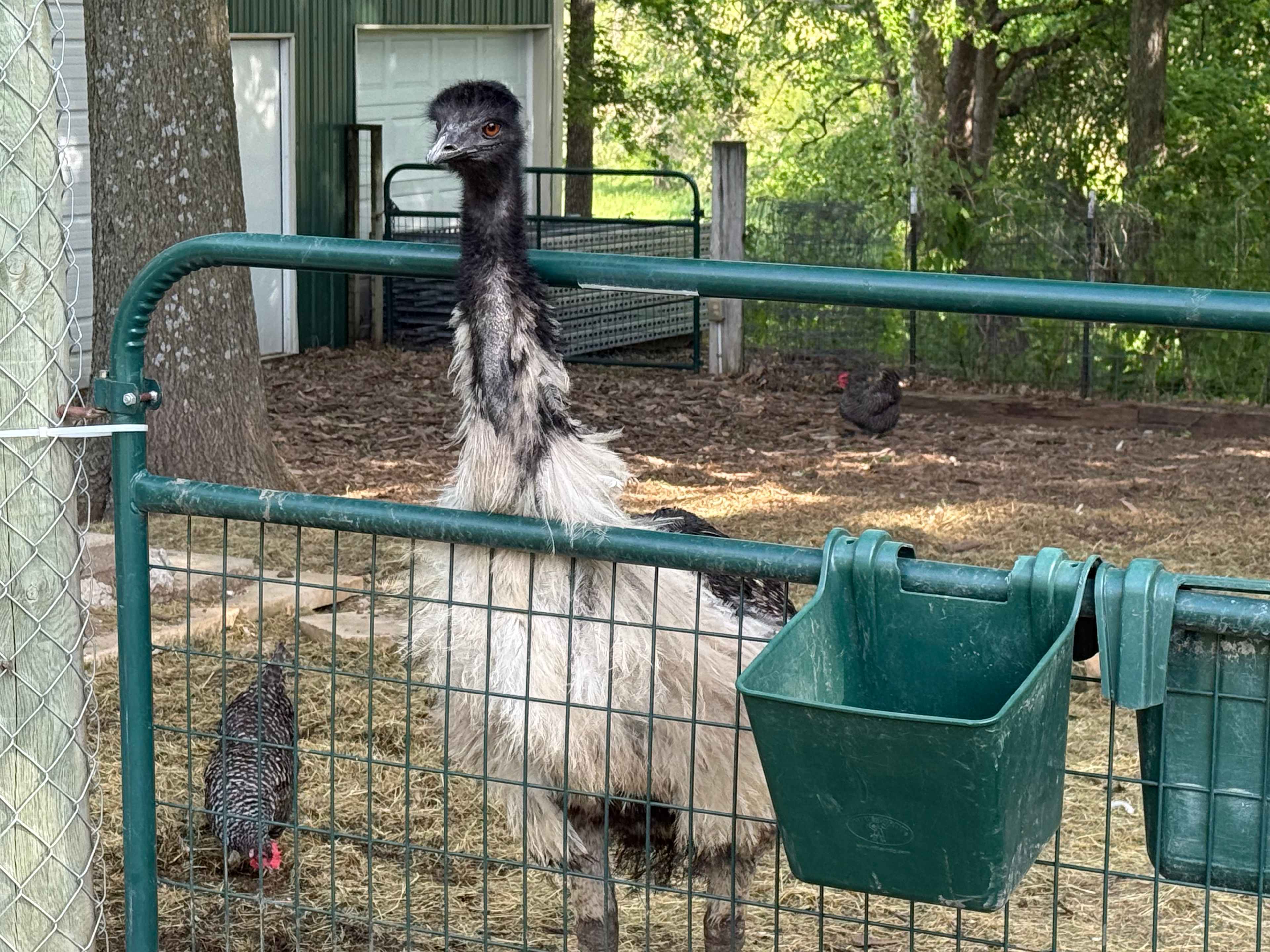 Harmony Lake Farm Park & Playground