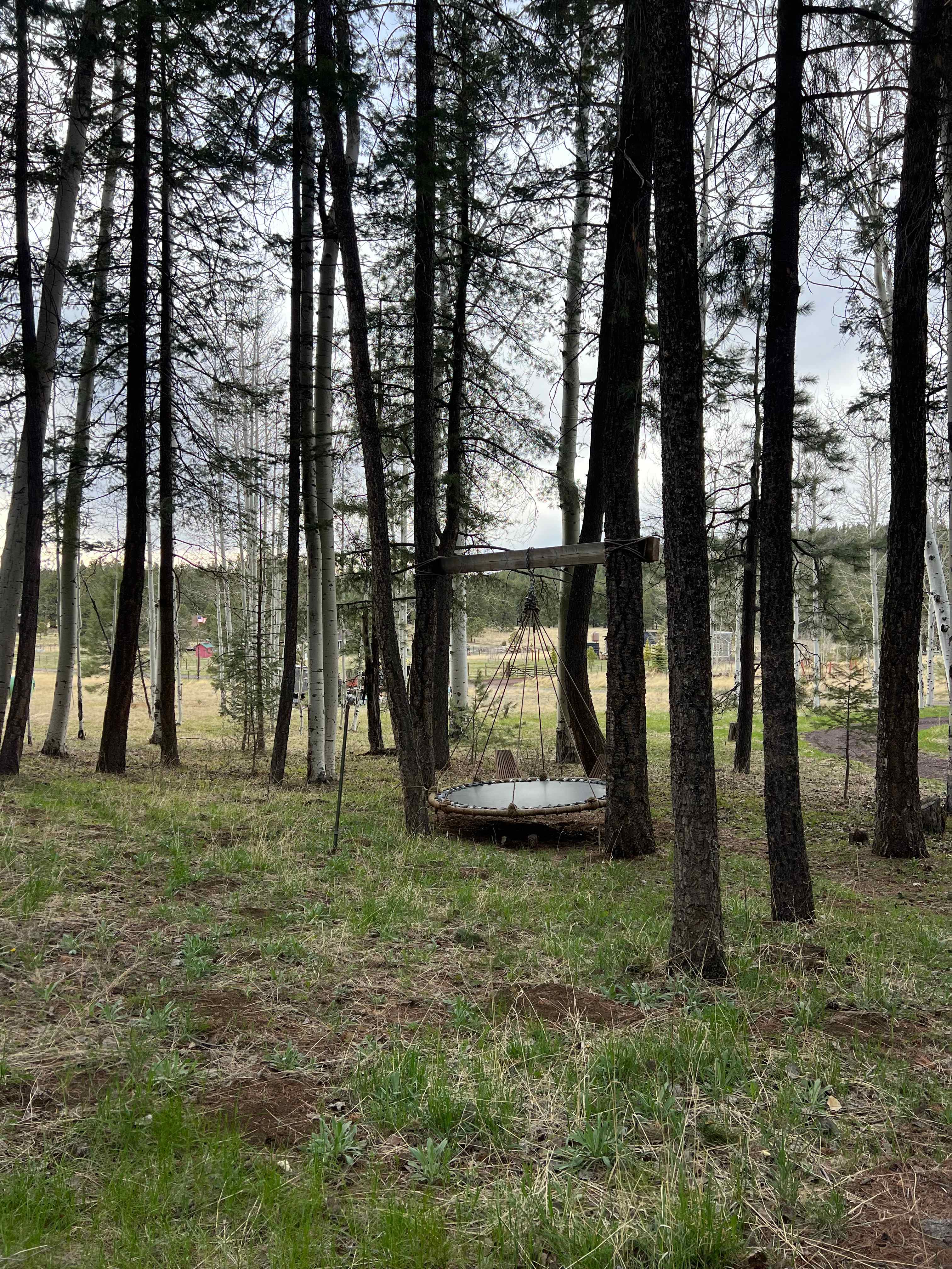 Glamper Cabin in the Aspens & Pines