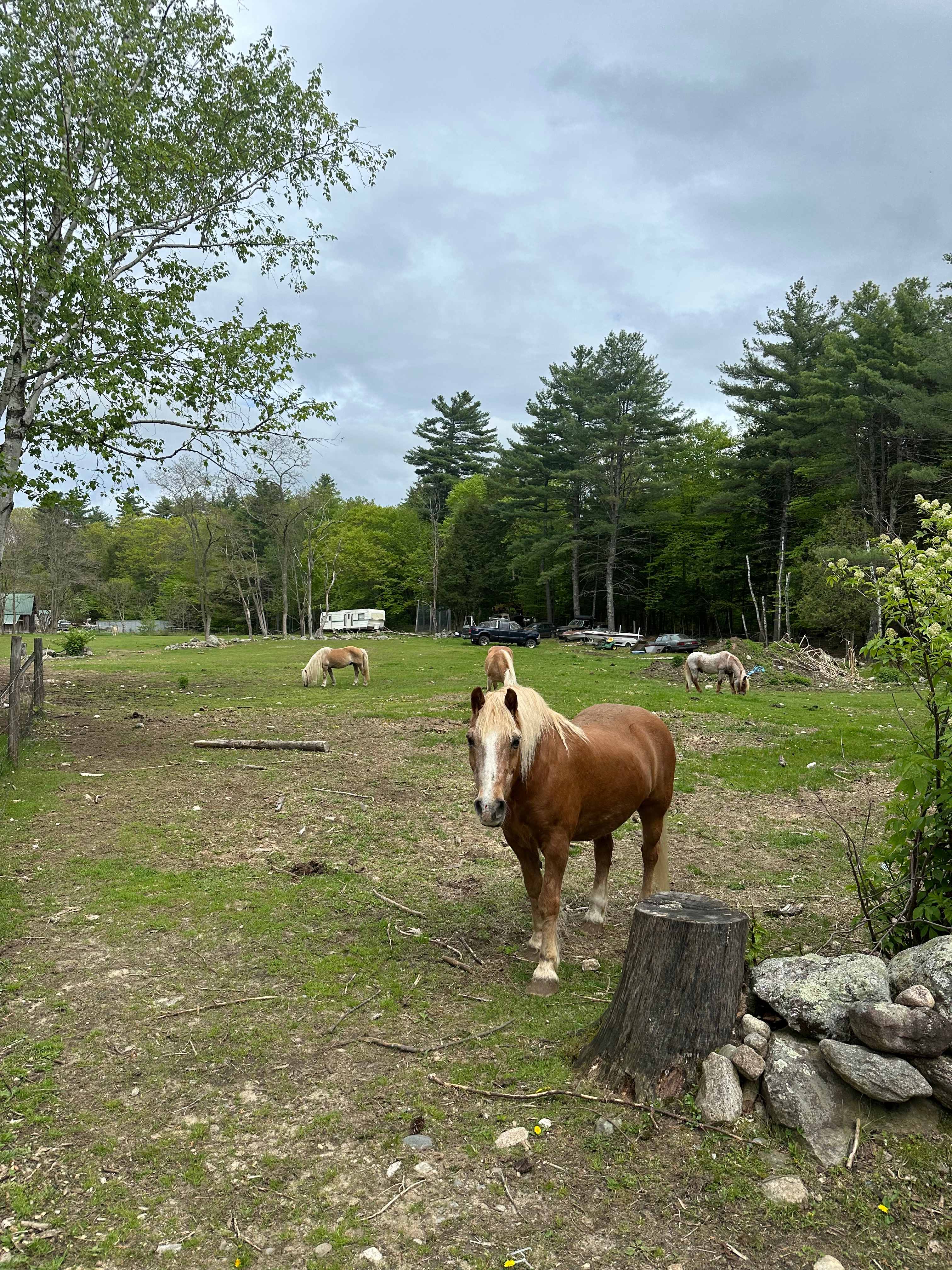 BrandiLee Woods at the Woolley farm