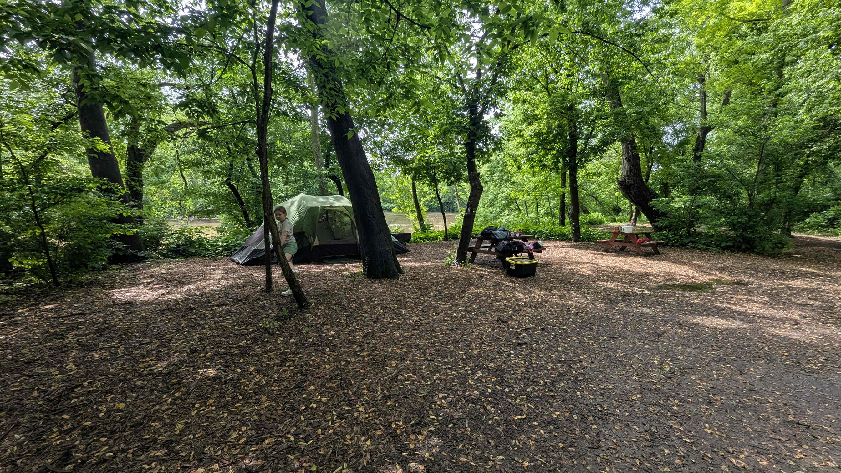 Plenty of space and options for tent setup