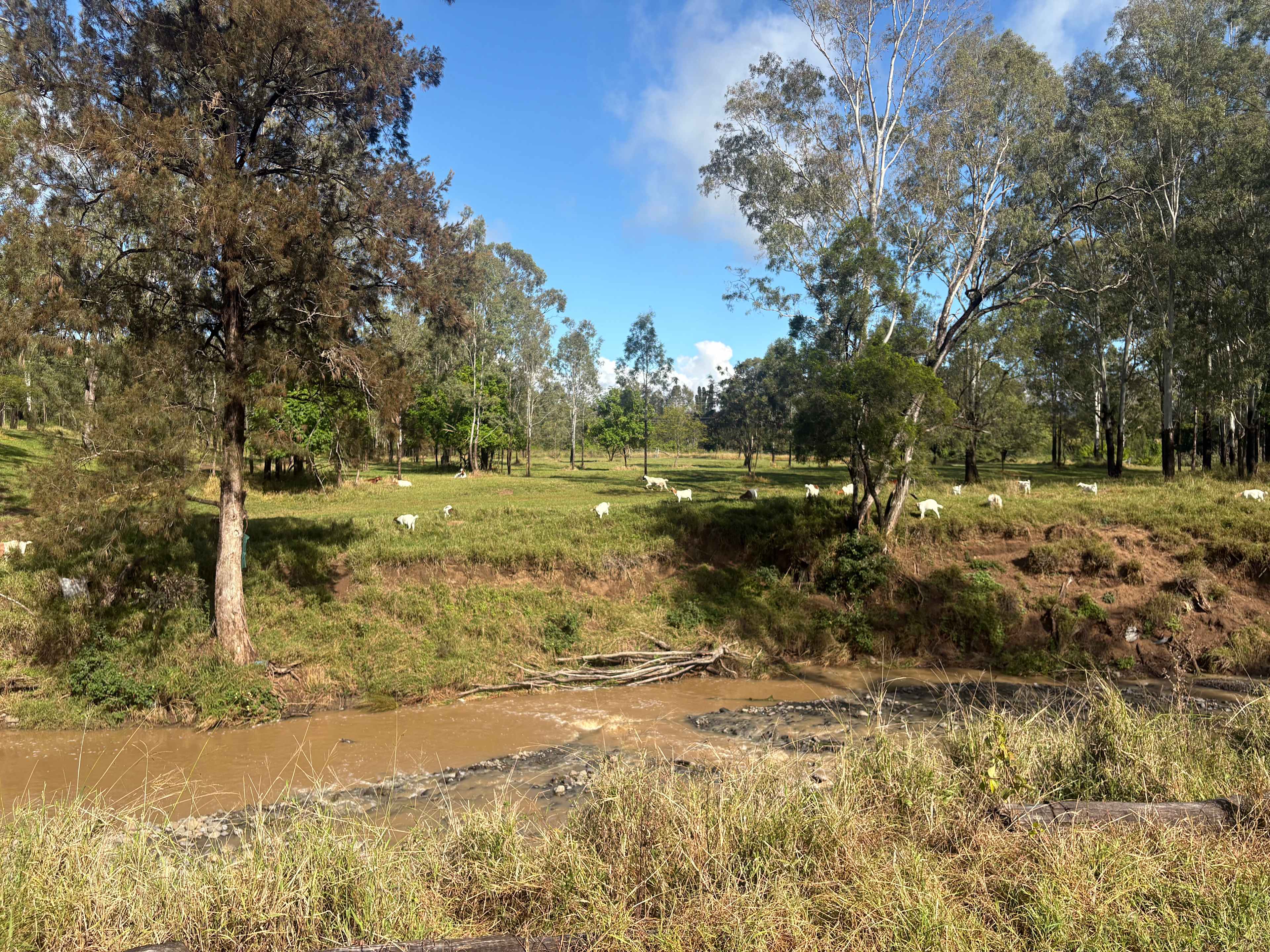 Rocky Creek Homestead