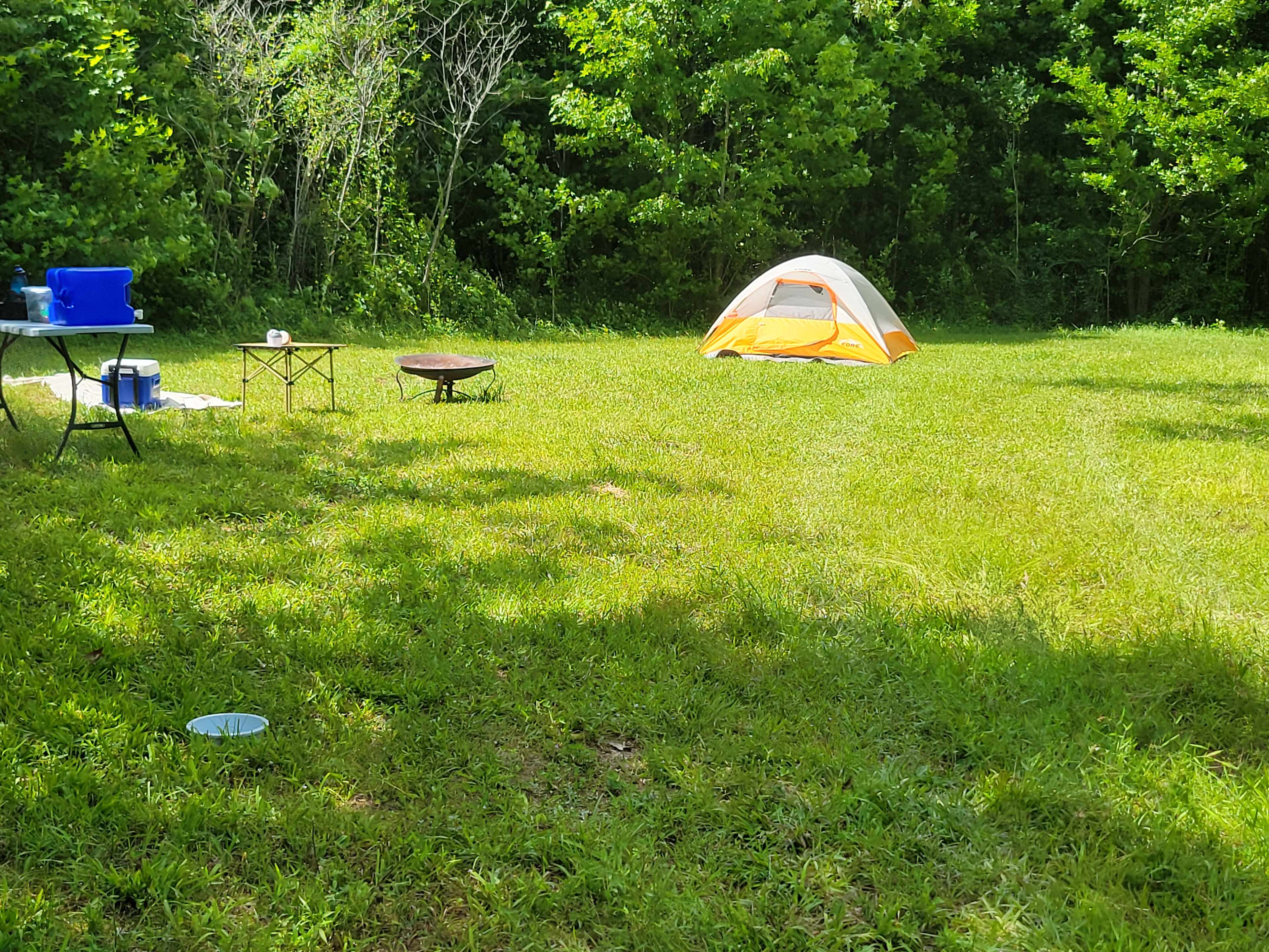 Open large grass fields near pond
