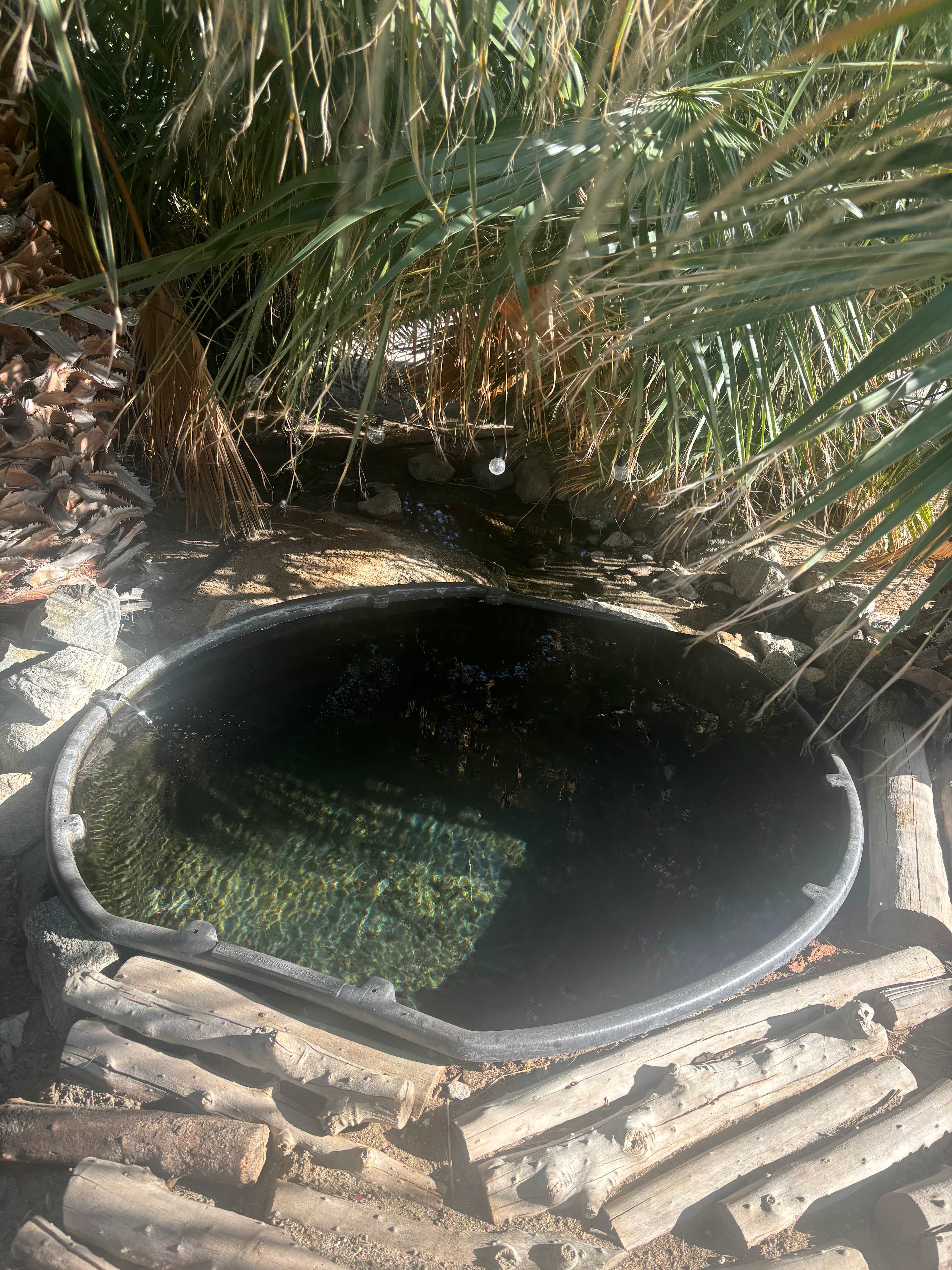Cool mineral pool