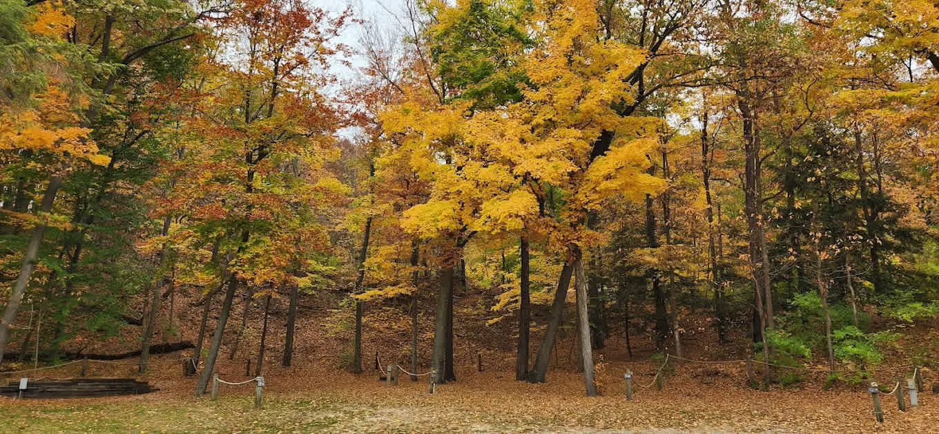 Covert Park Beach and Campground