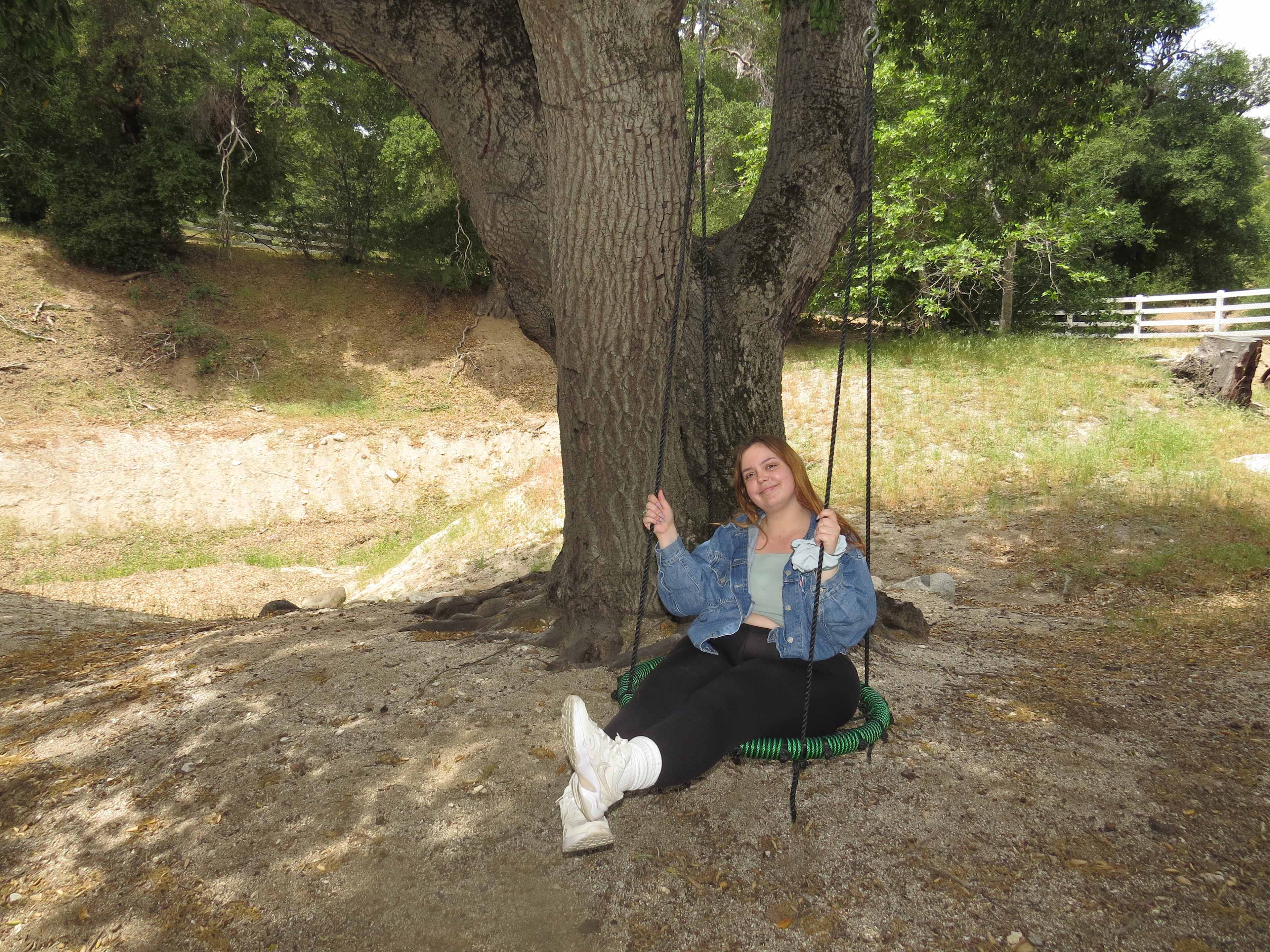 swing near the entrance 