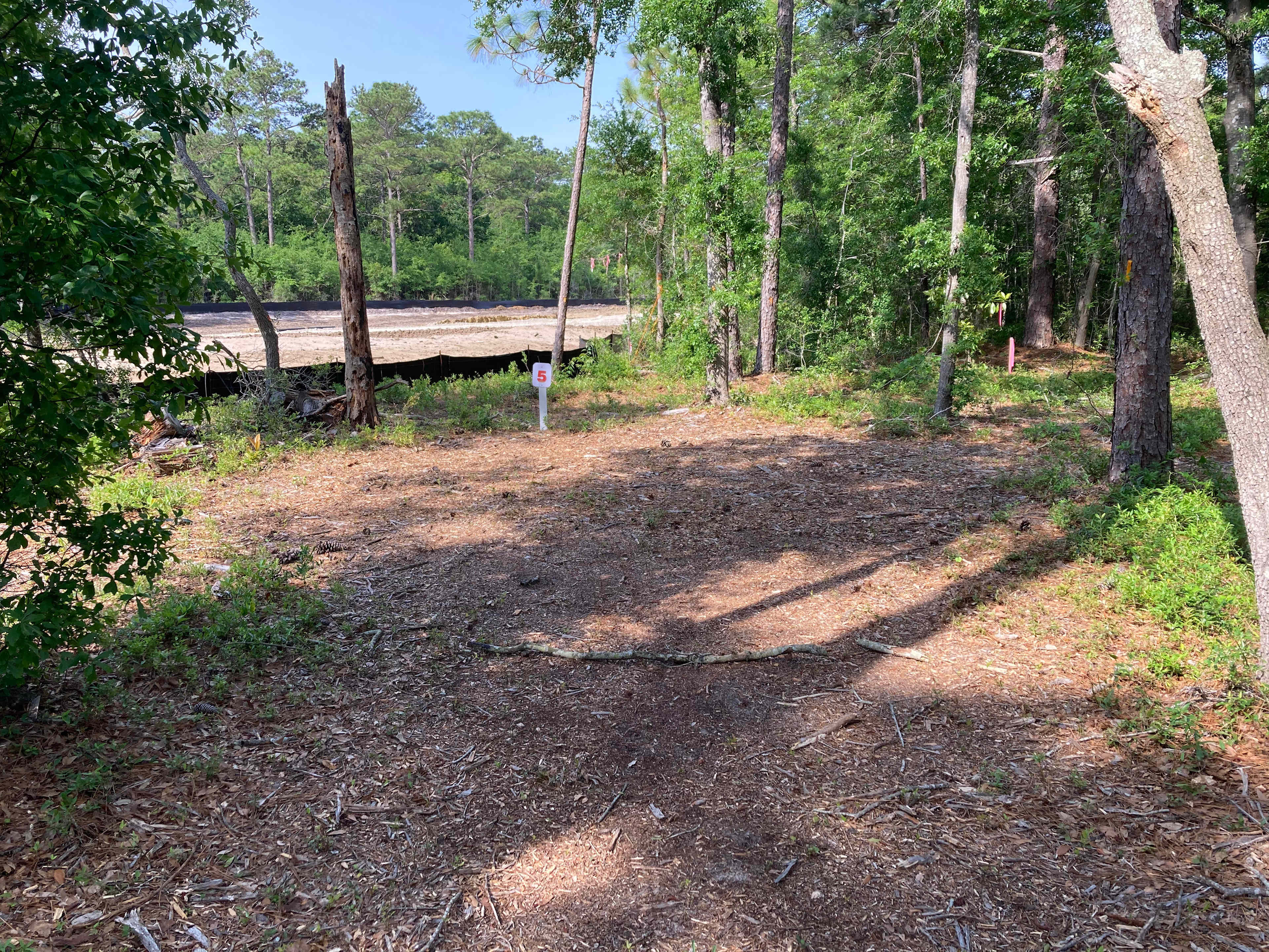 Pine forest, 5 minutes to the beach