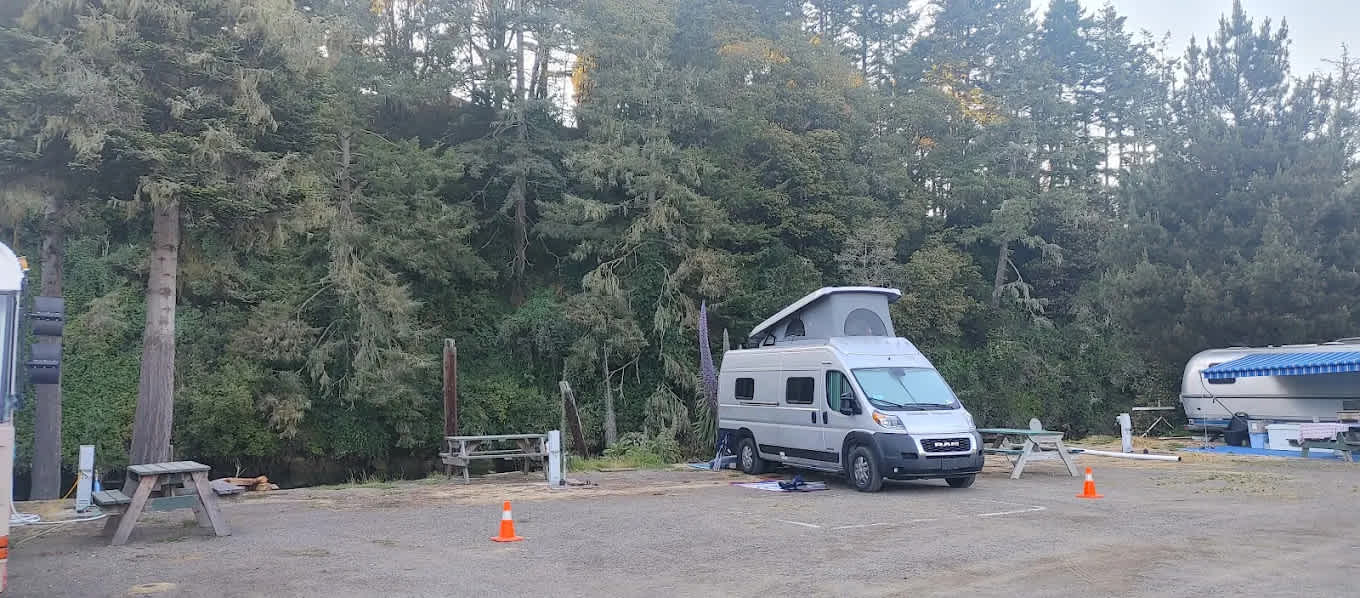 Dolphin Isle Marina and RV Park